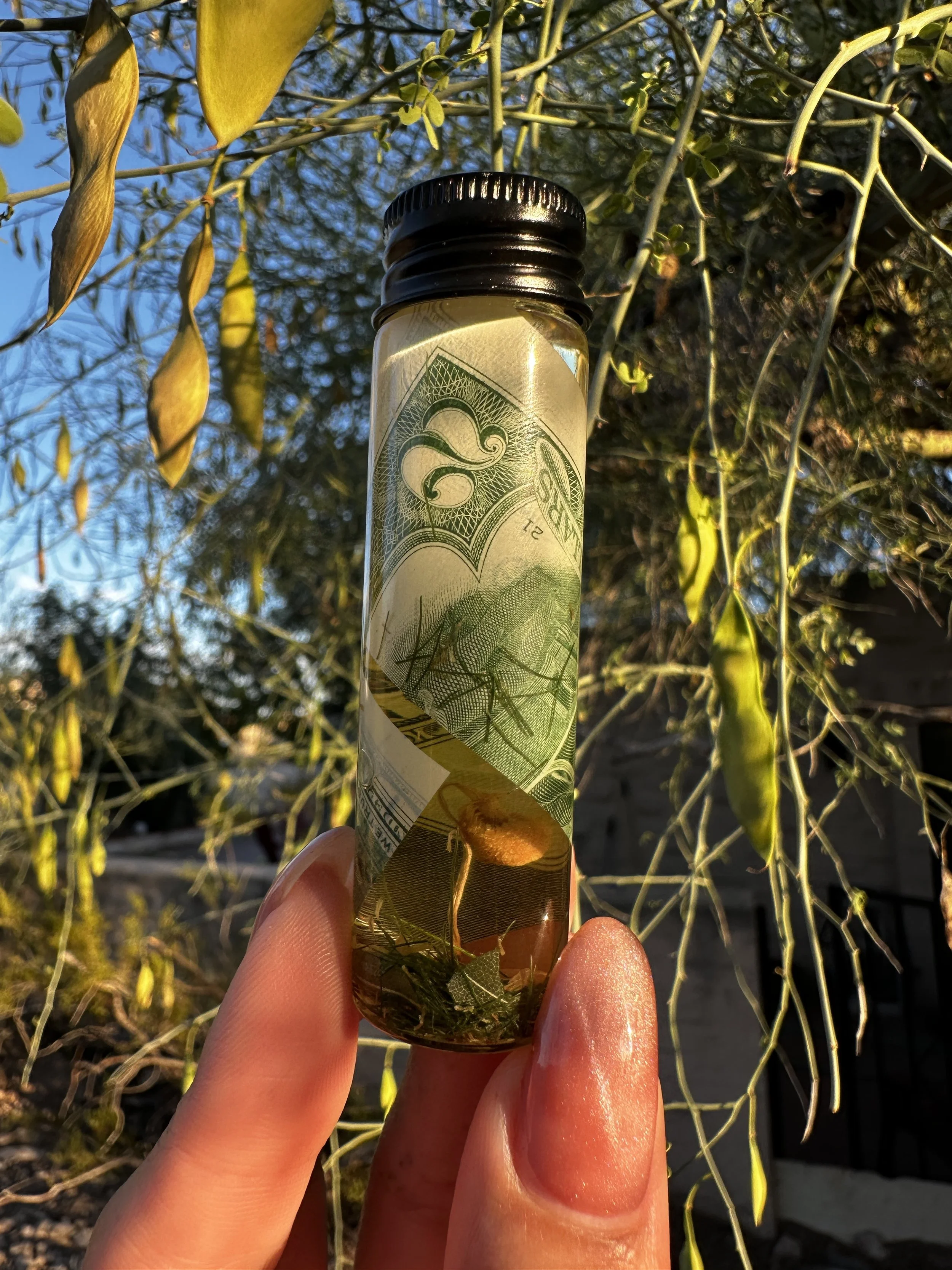 Money Oil
