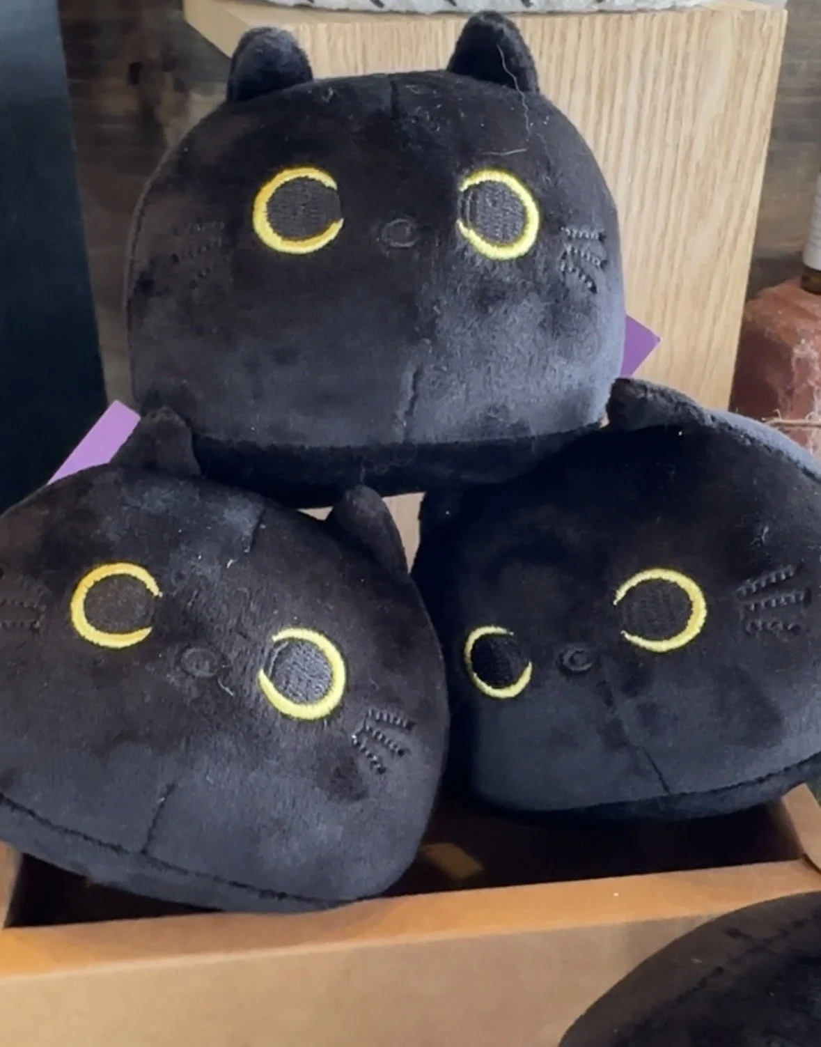 Cat Nip Kitty