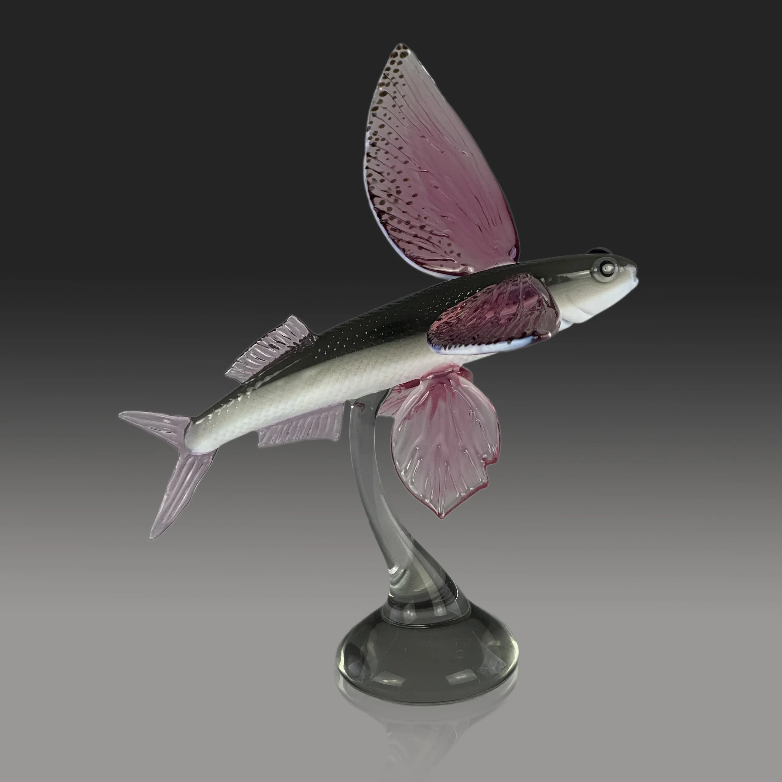 Flying_Fish1_2.jpg