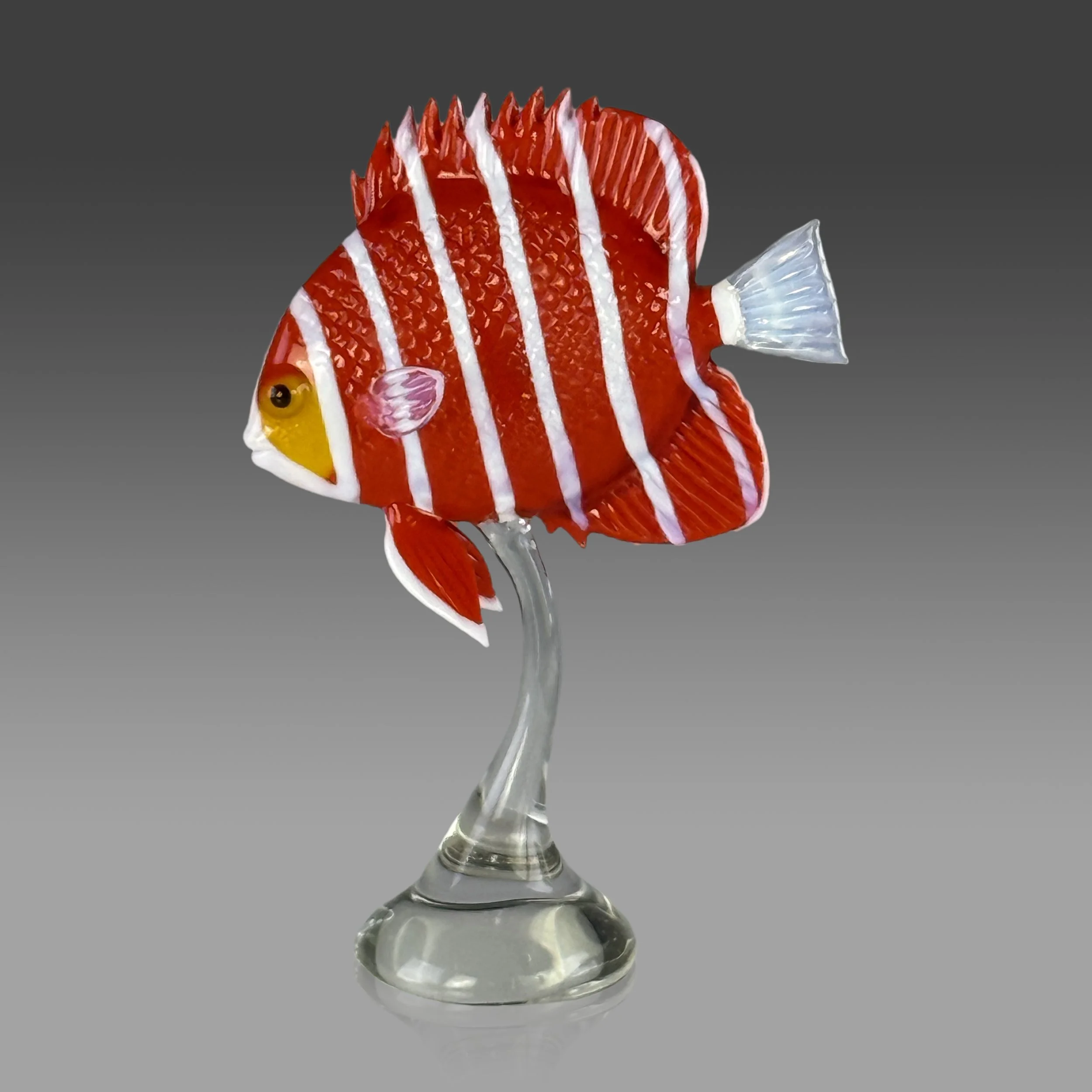 Pepperint Angelfish
