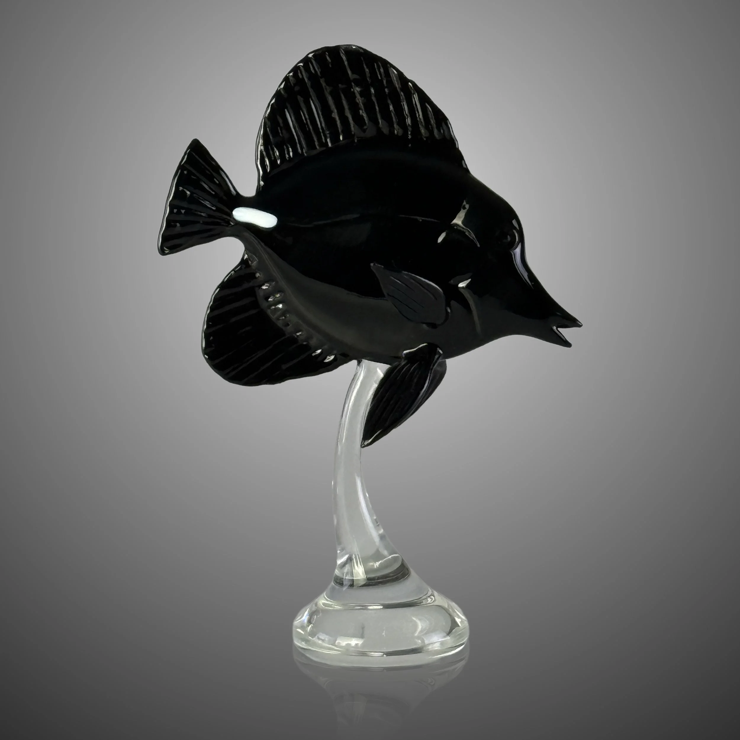 black_tang2_2.jpg