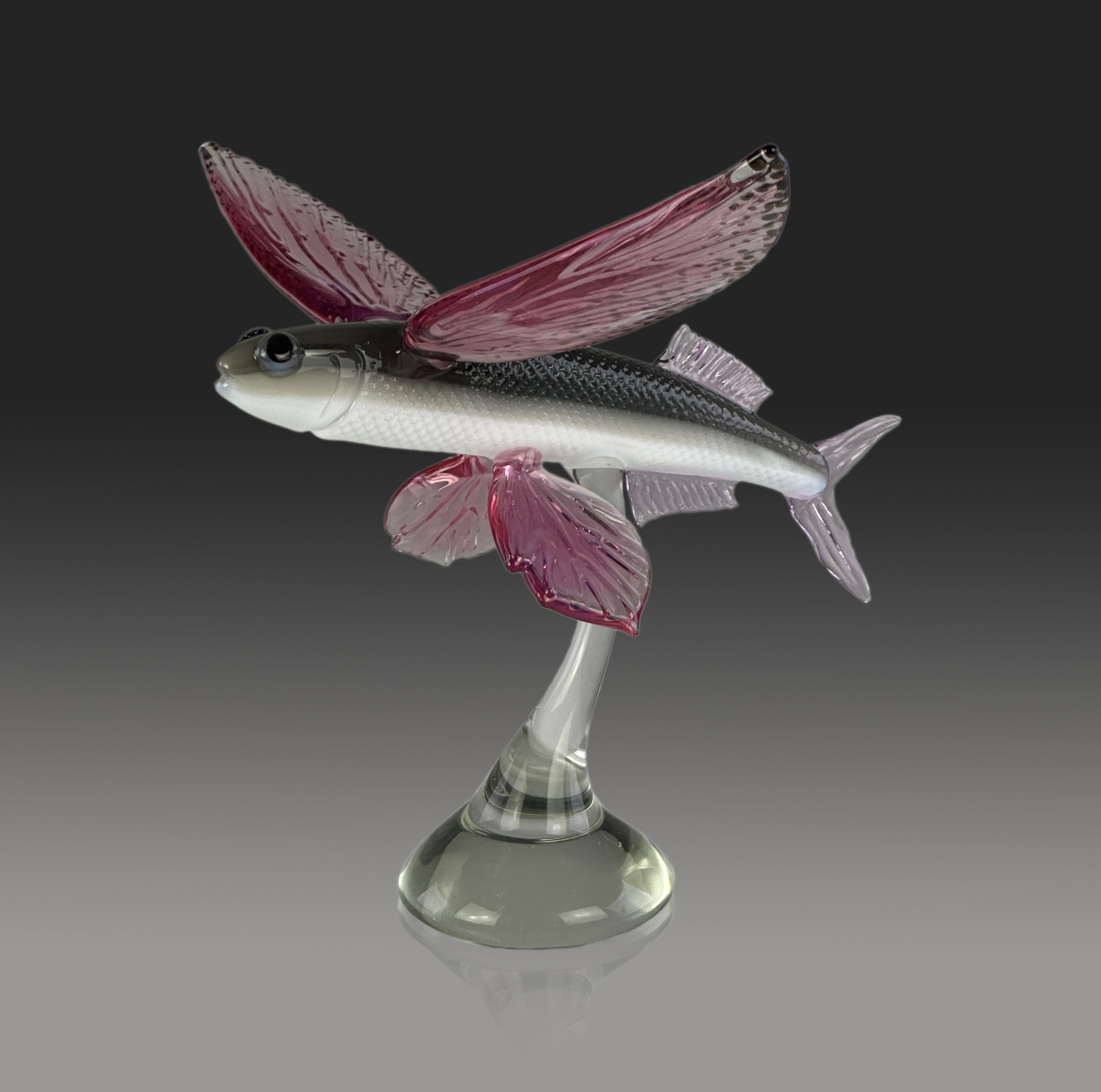 Flying_Fish1_3.jpg