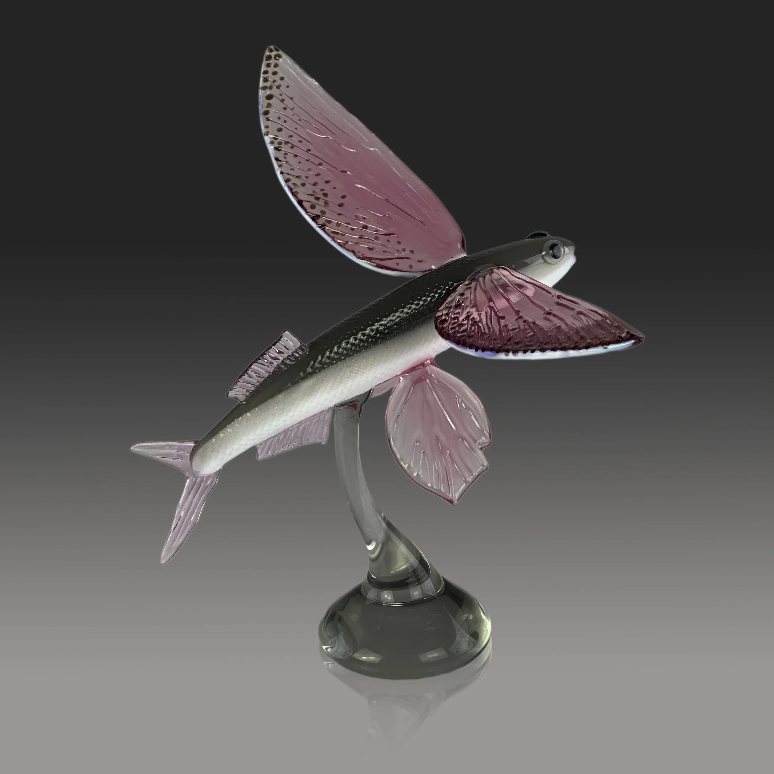 Glider Flying Fish