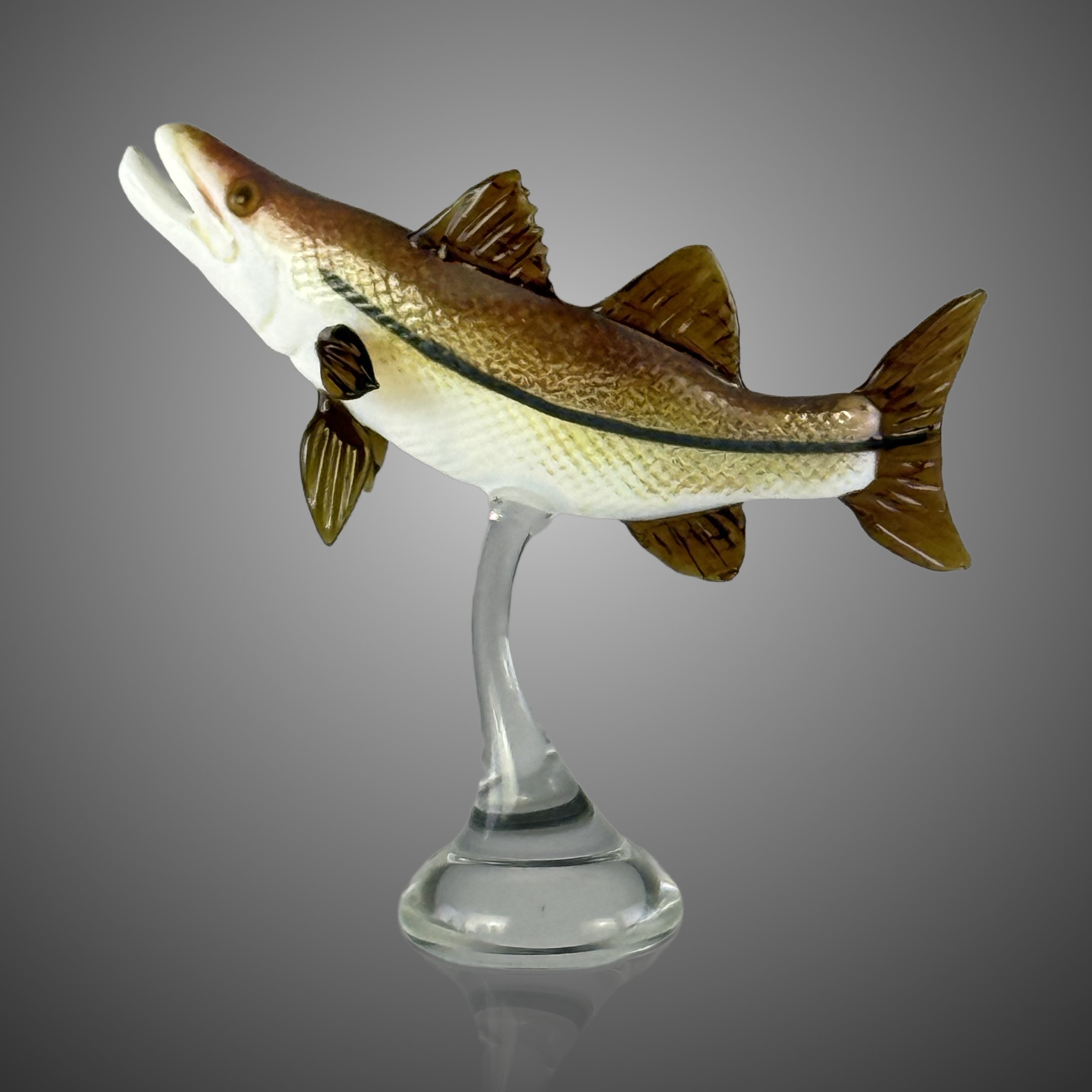 snook1_2.jpg
