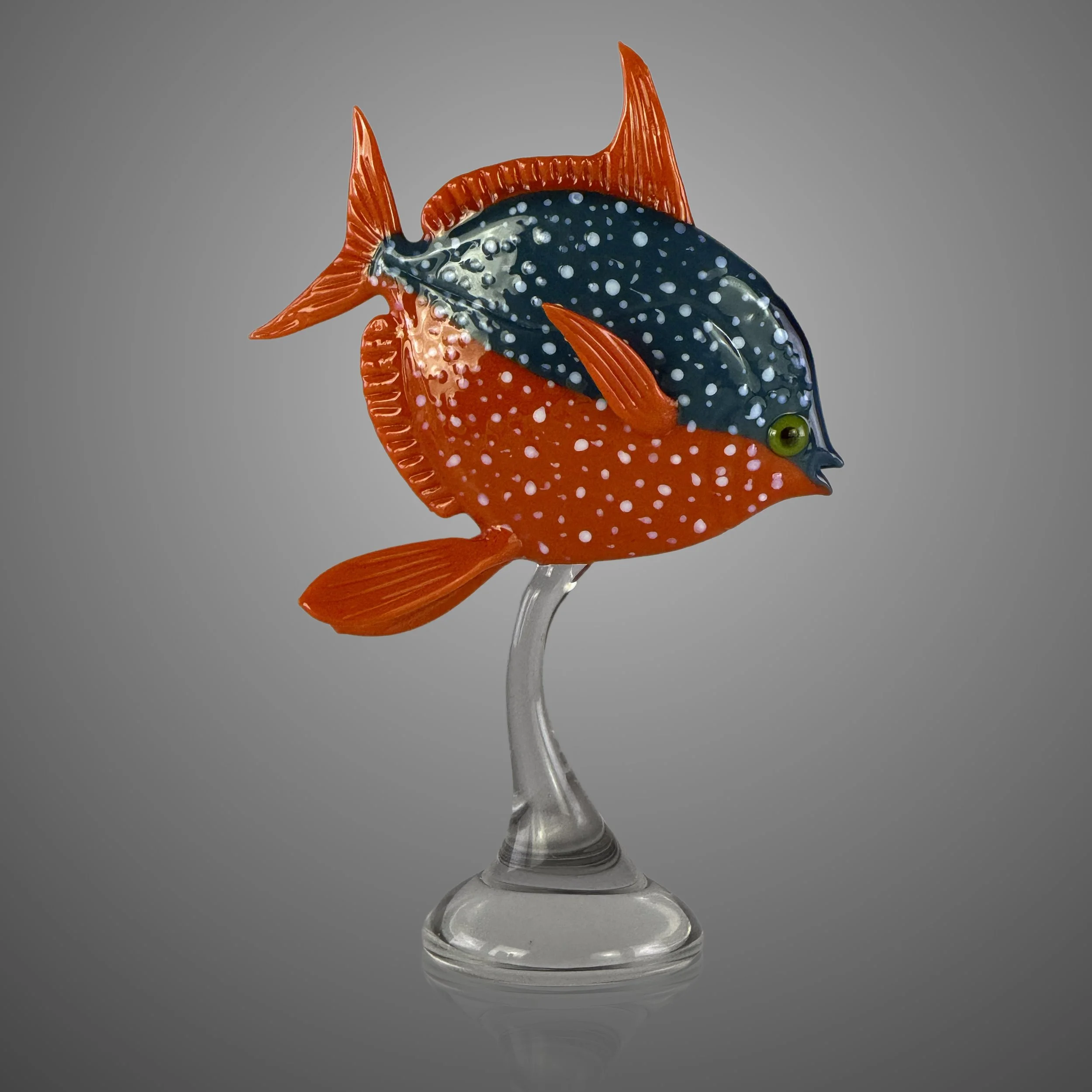 opah4_2.jpg