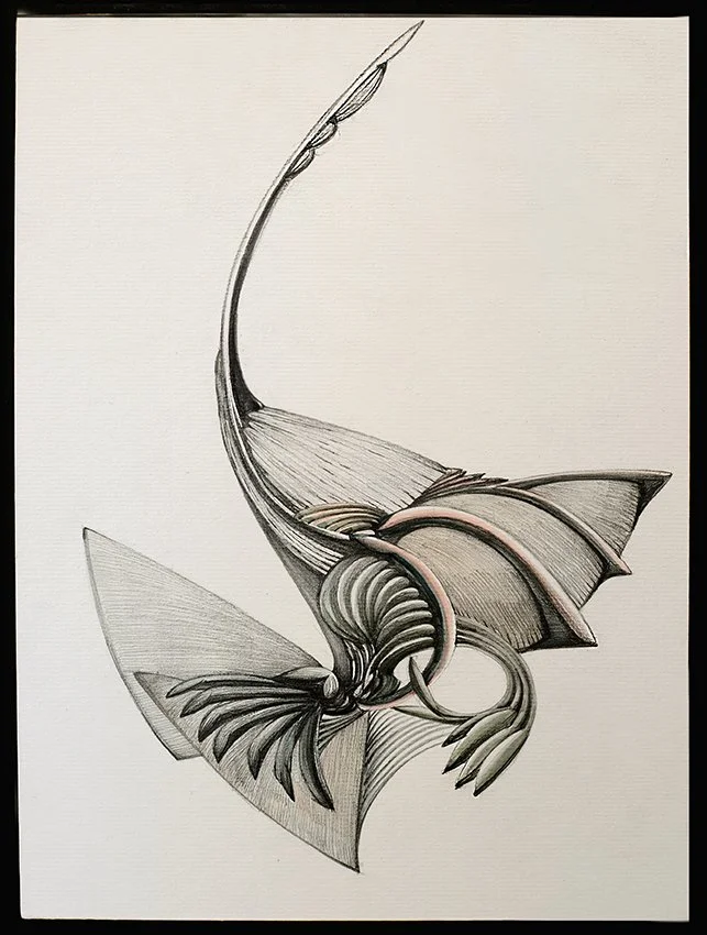 Untitled, vegetal dyes, korean ink, Hanji paper, 2025