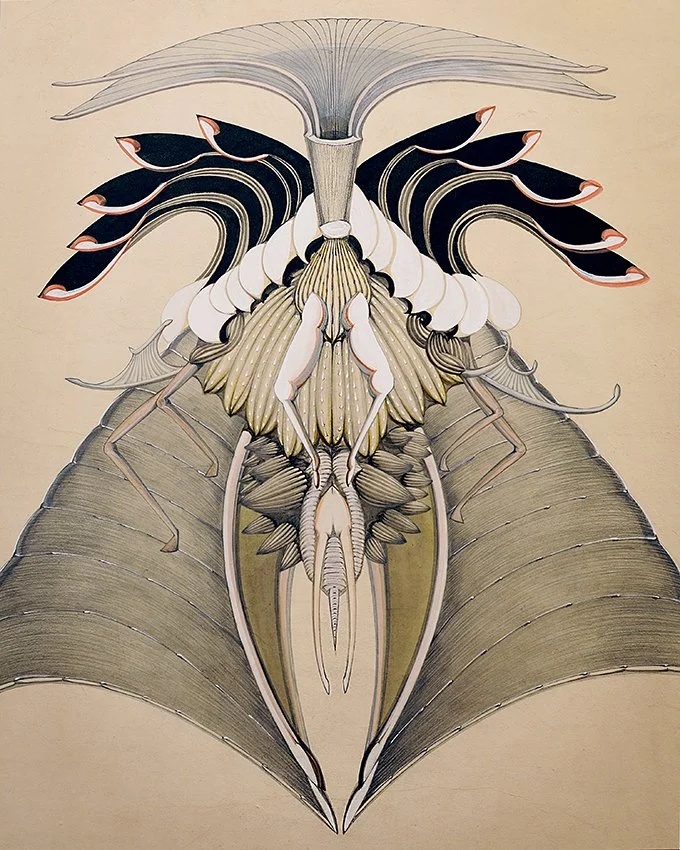Goseul, vegetal dyes, korean ink, Hanji paper, 2024