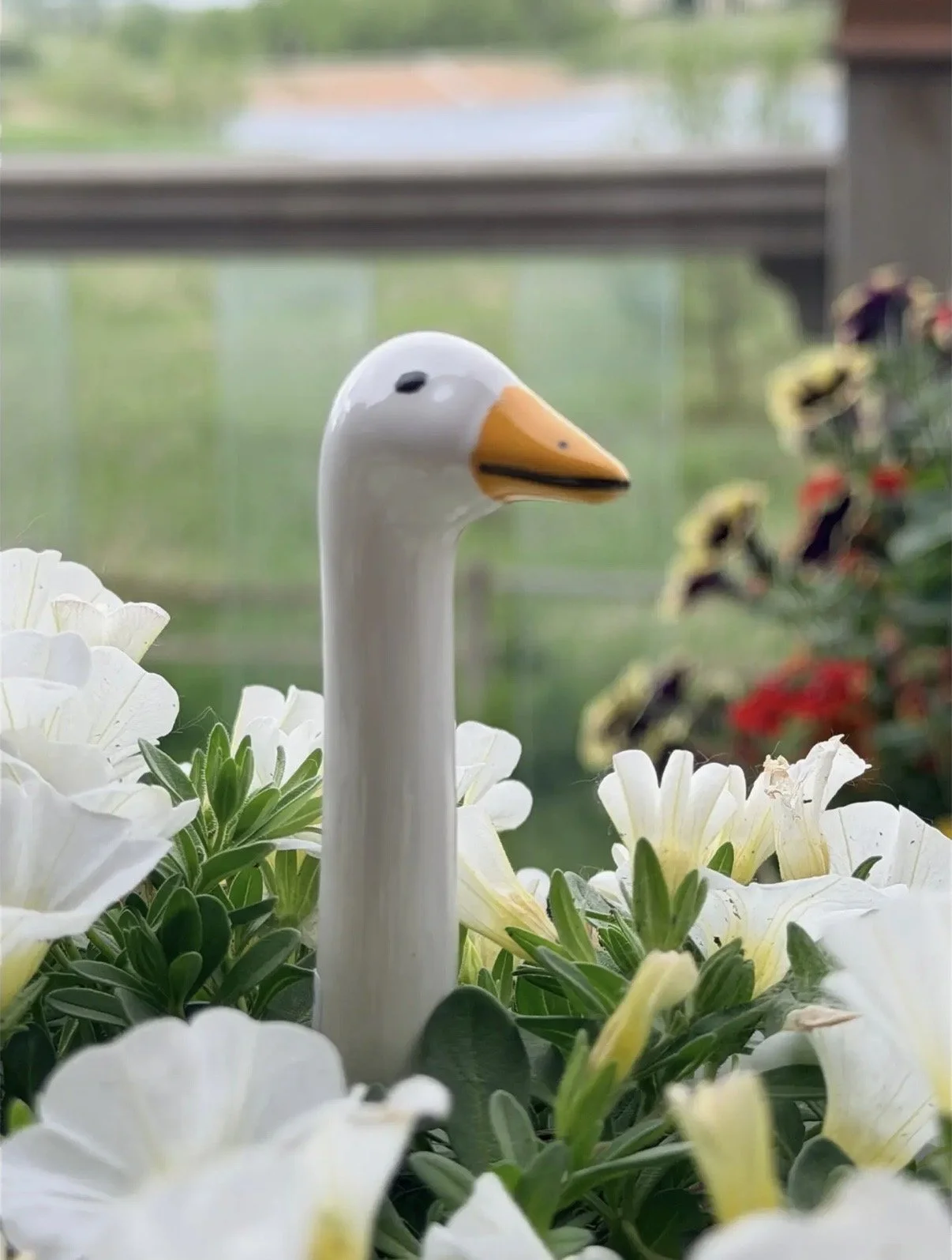 Garden Geese