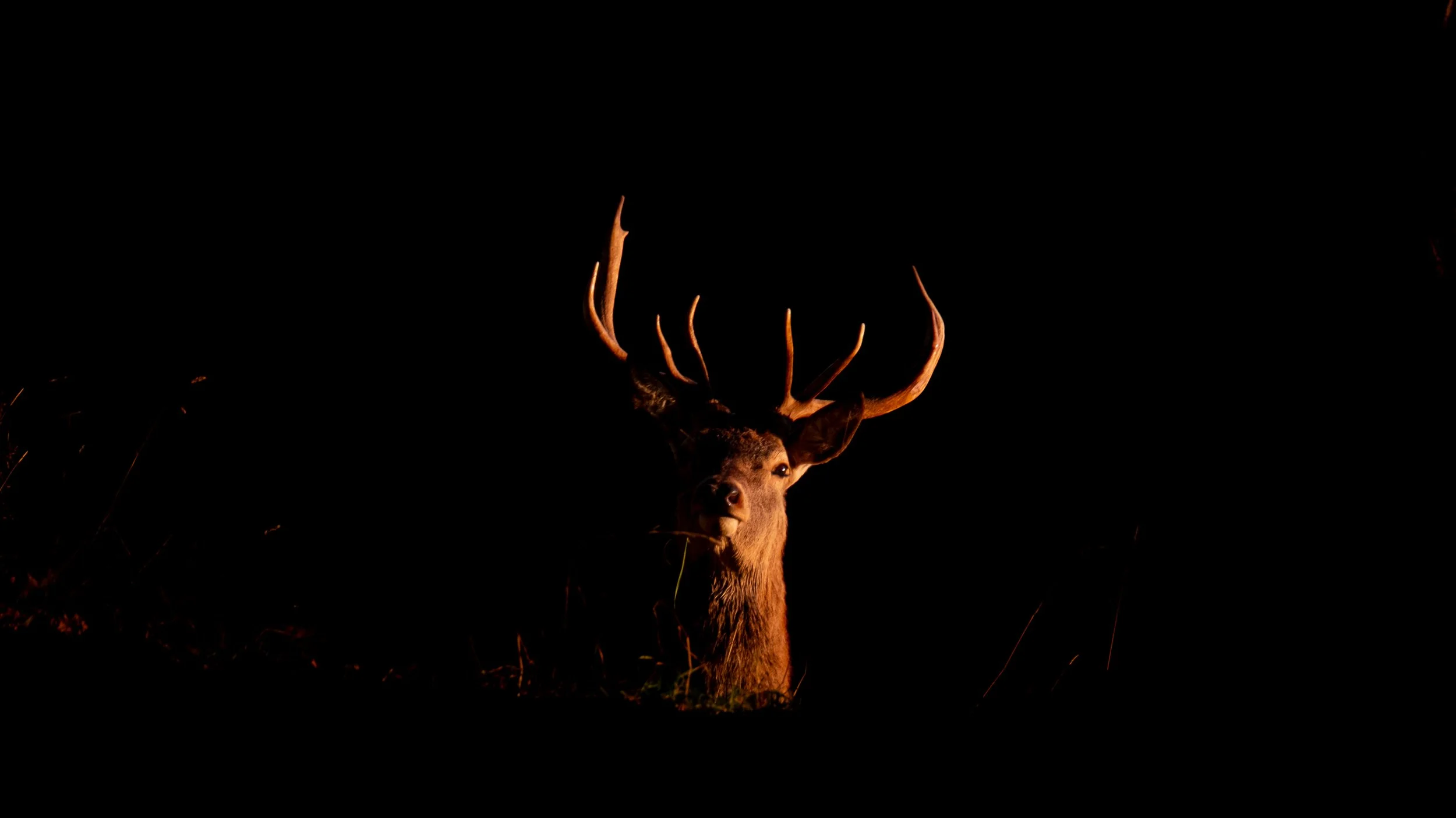 DSCF4686.jpg
