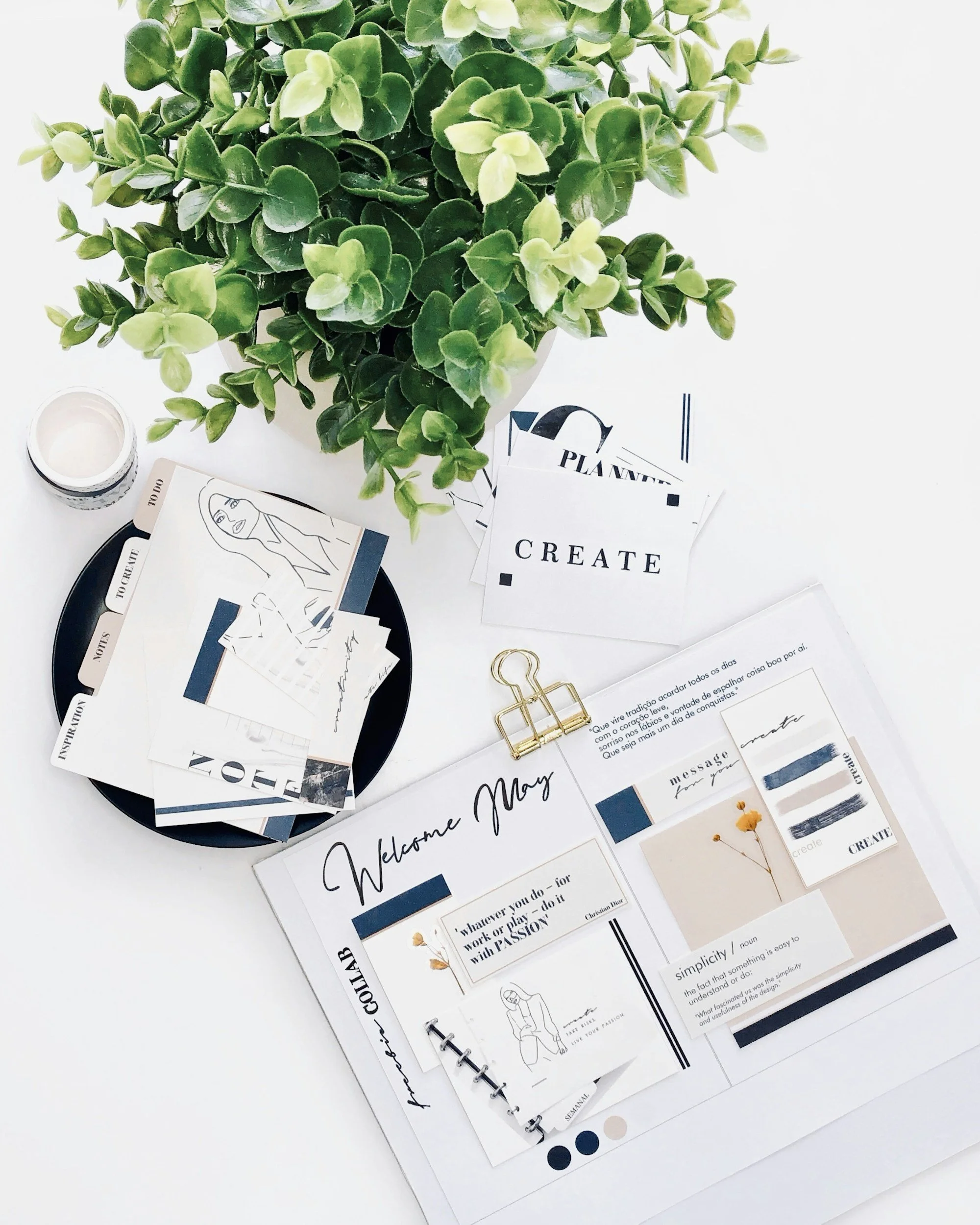 A green potted plant with thick, shiny leaves, a variety of note cards, a black tray, and small cards with text. Additionally, there is a gold paper clip and some printed notes or pages on a white surface.