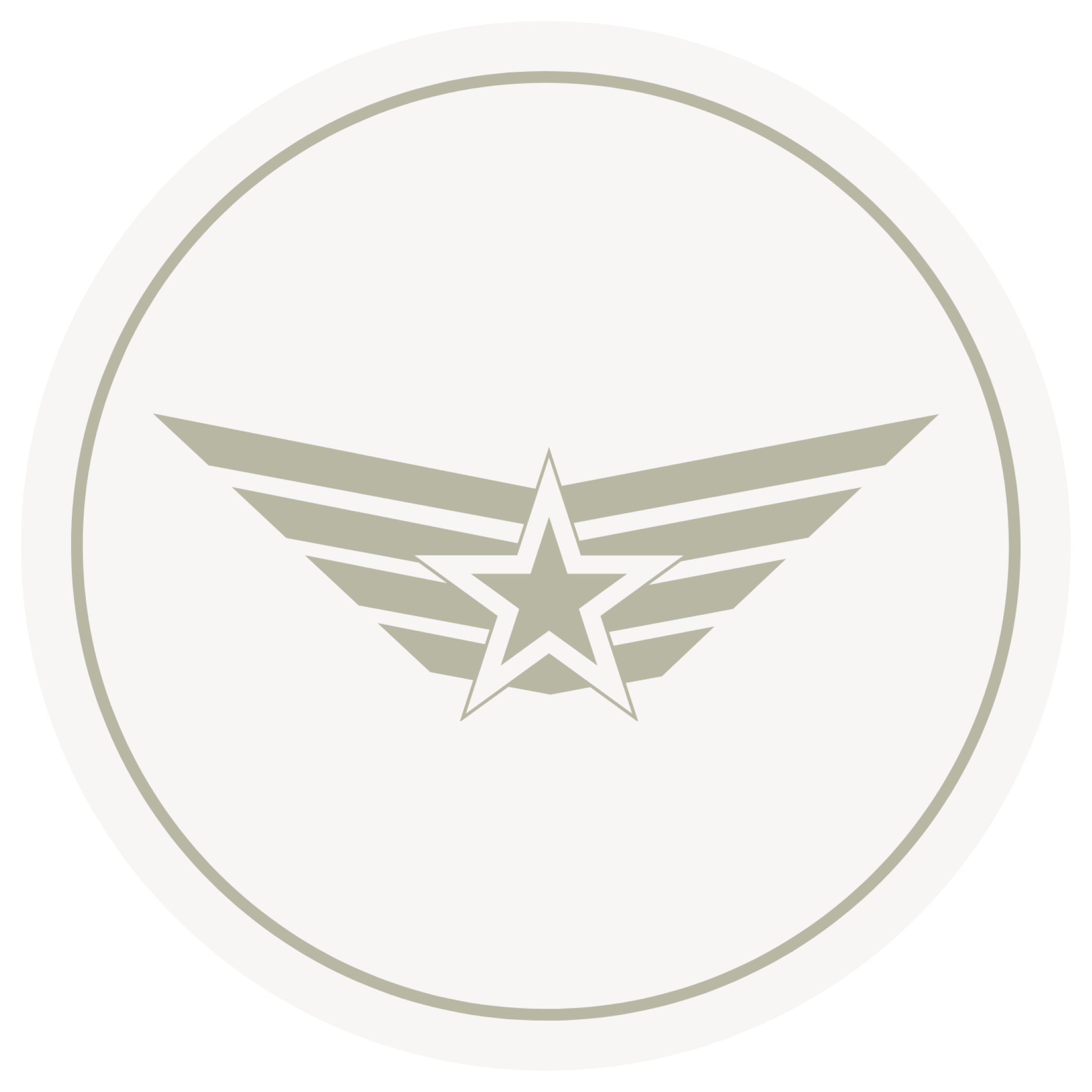 sage green graphic of airforce icon