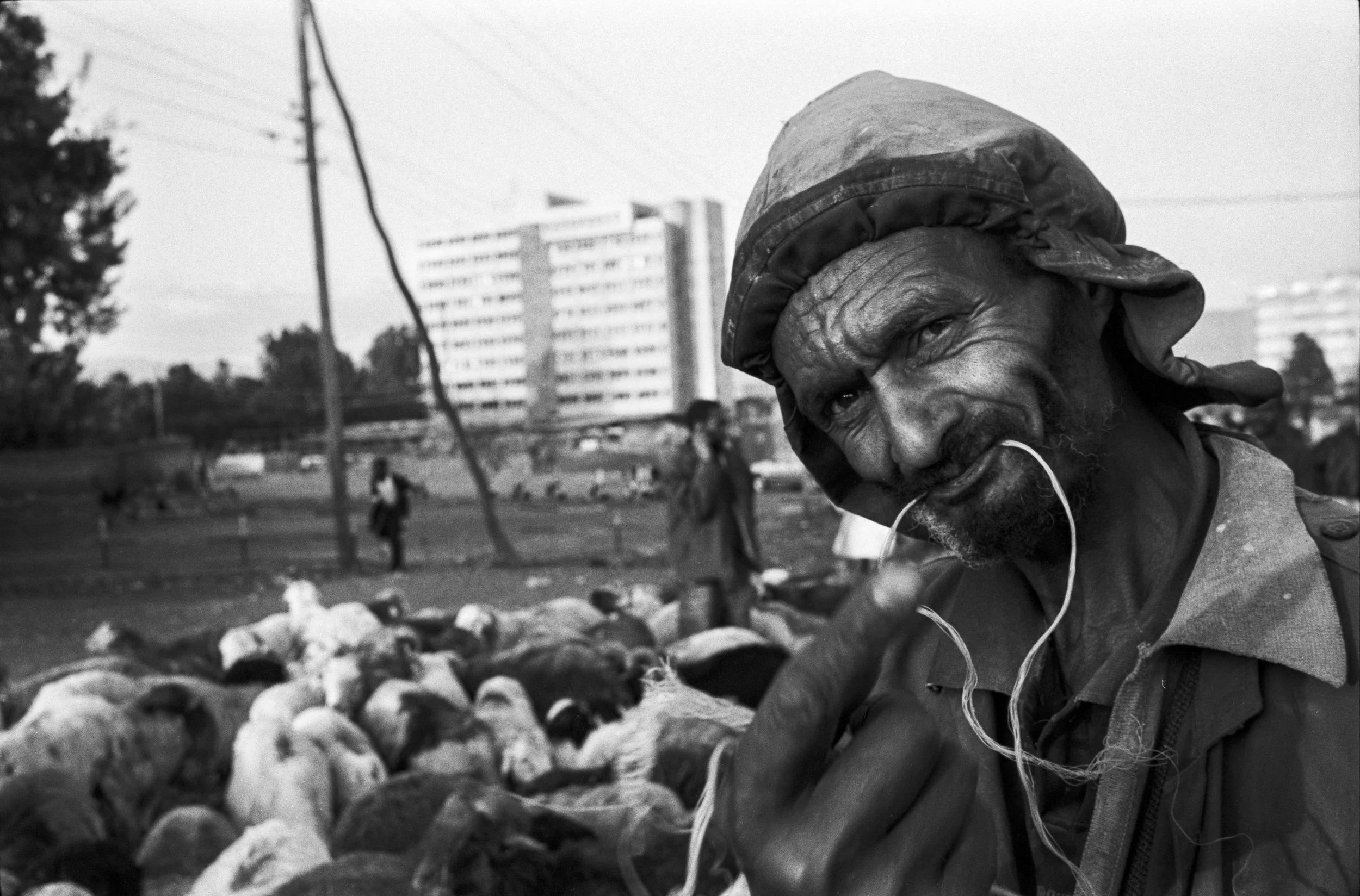 Ethiopia_New_001017.jpg