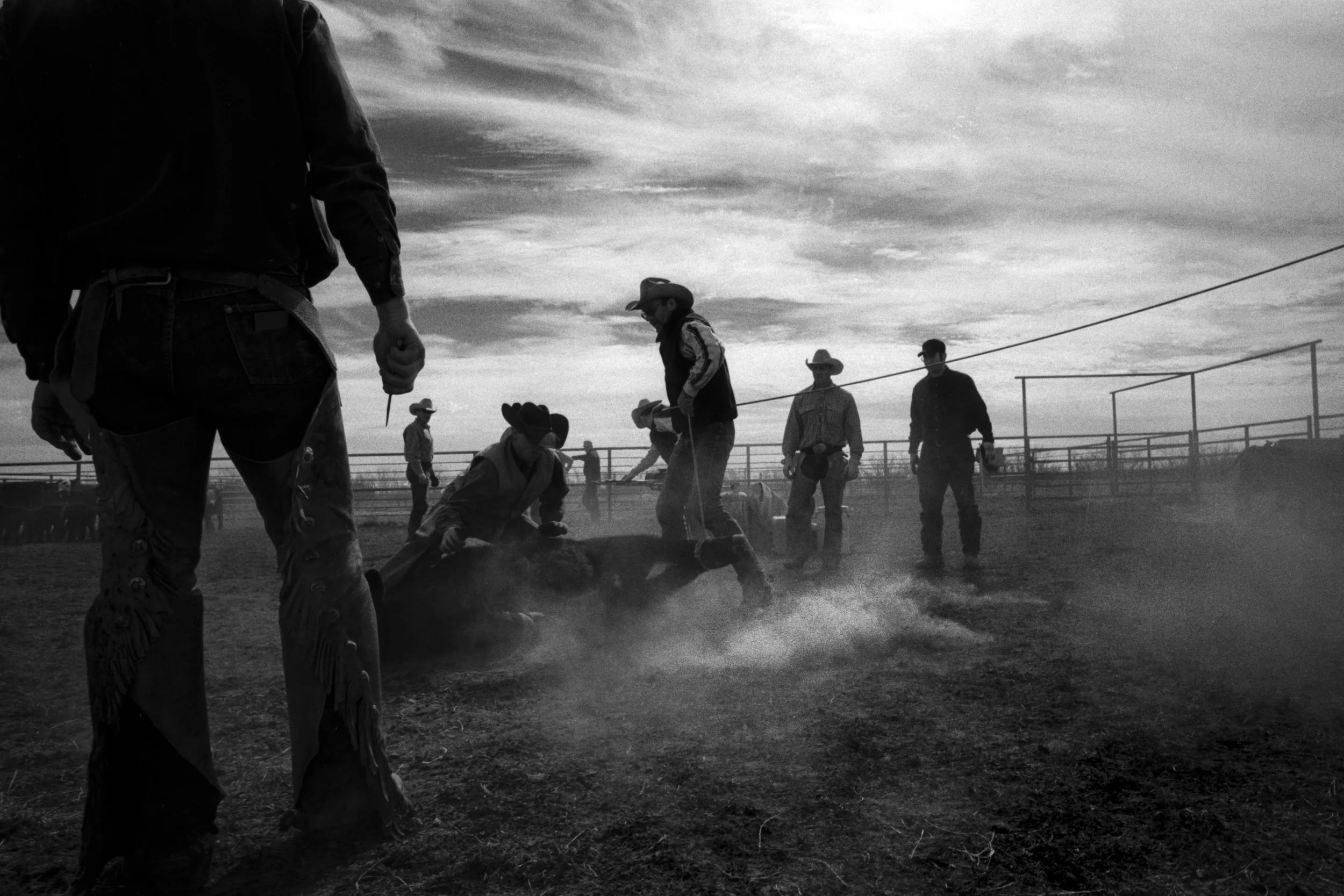 CowboyLasso_New_001050.jpg