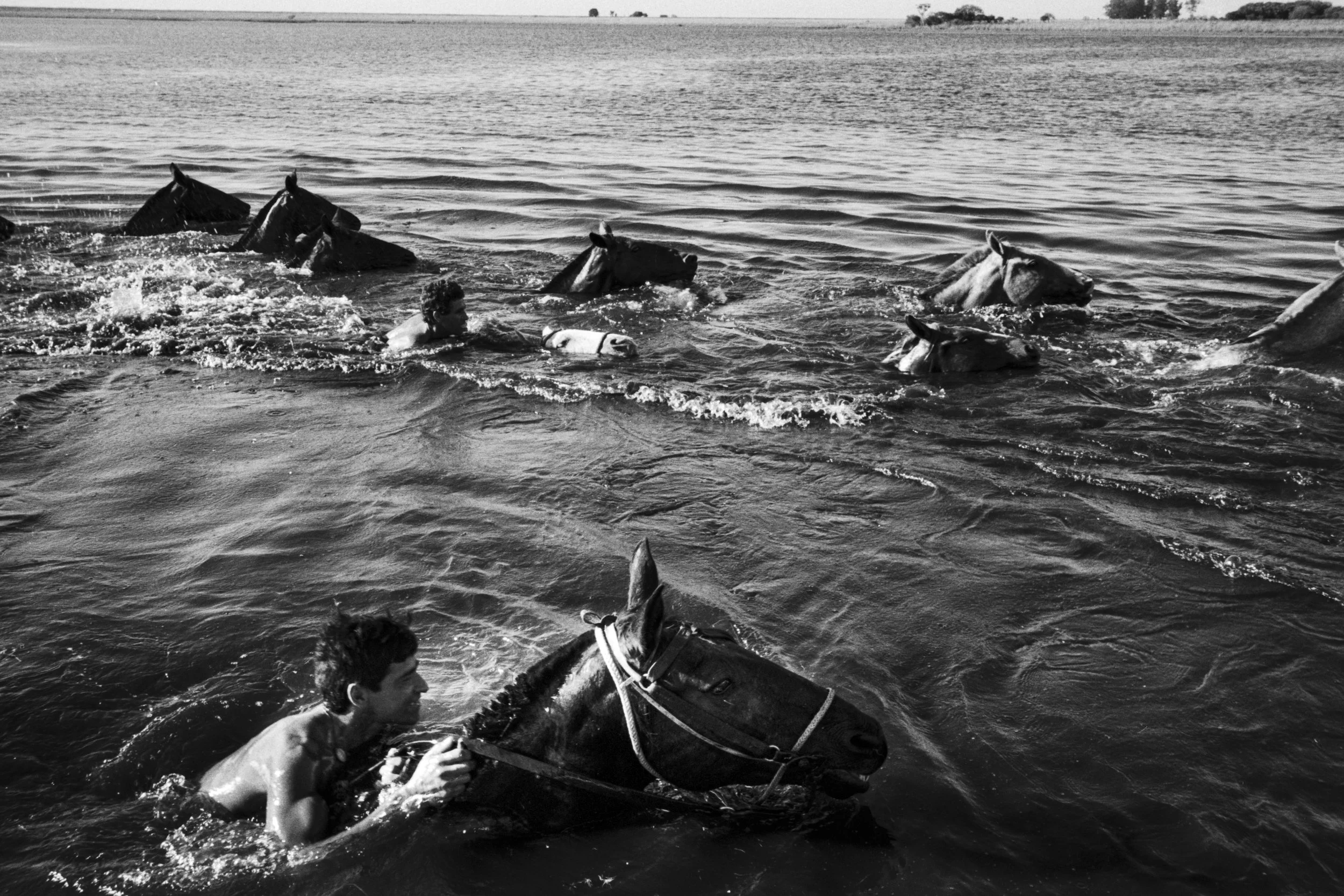 Argentina_New_001009.jpg
