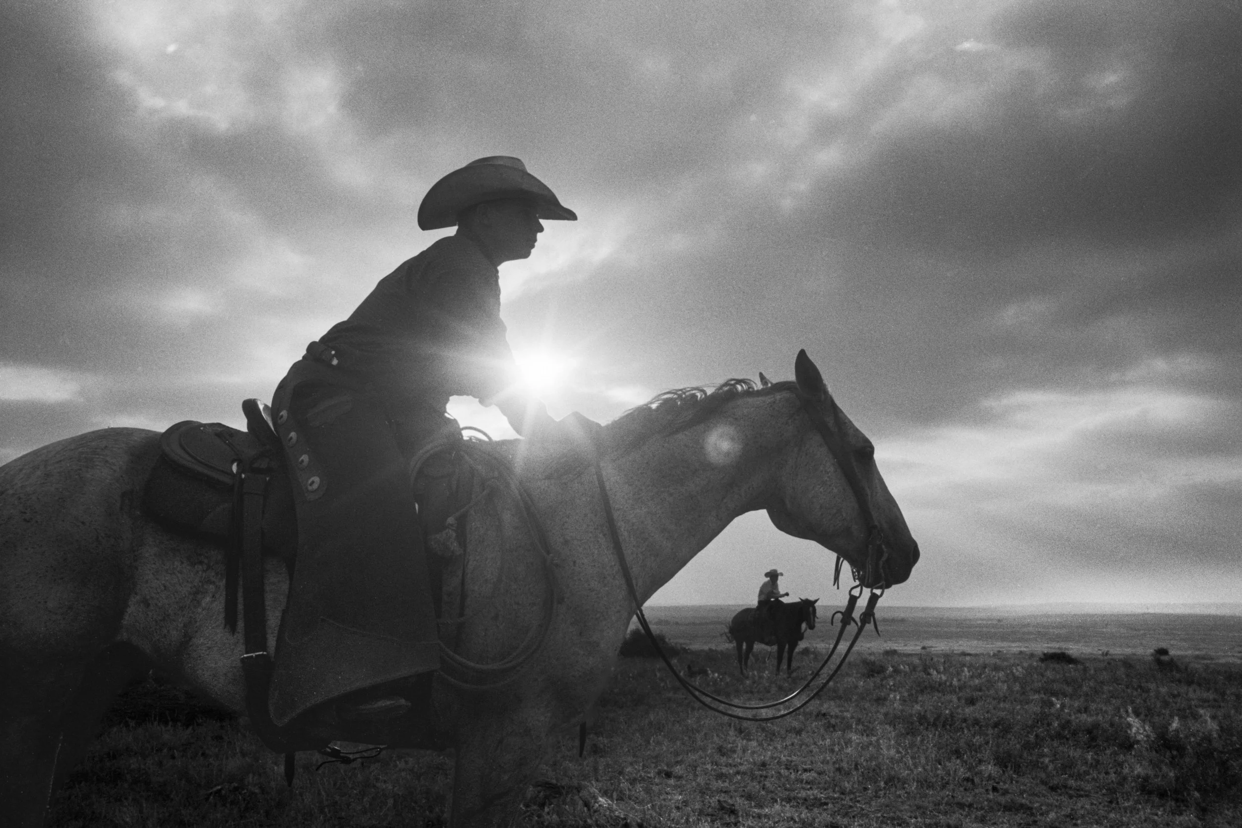 CowboyLasso_New_001021.jpg