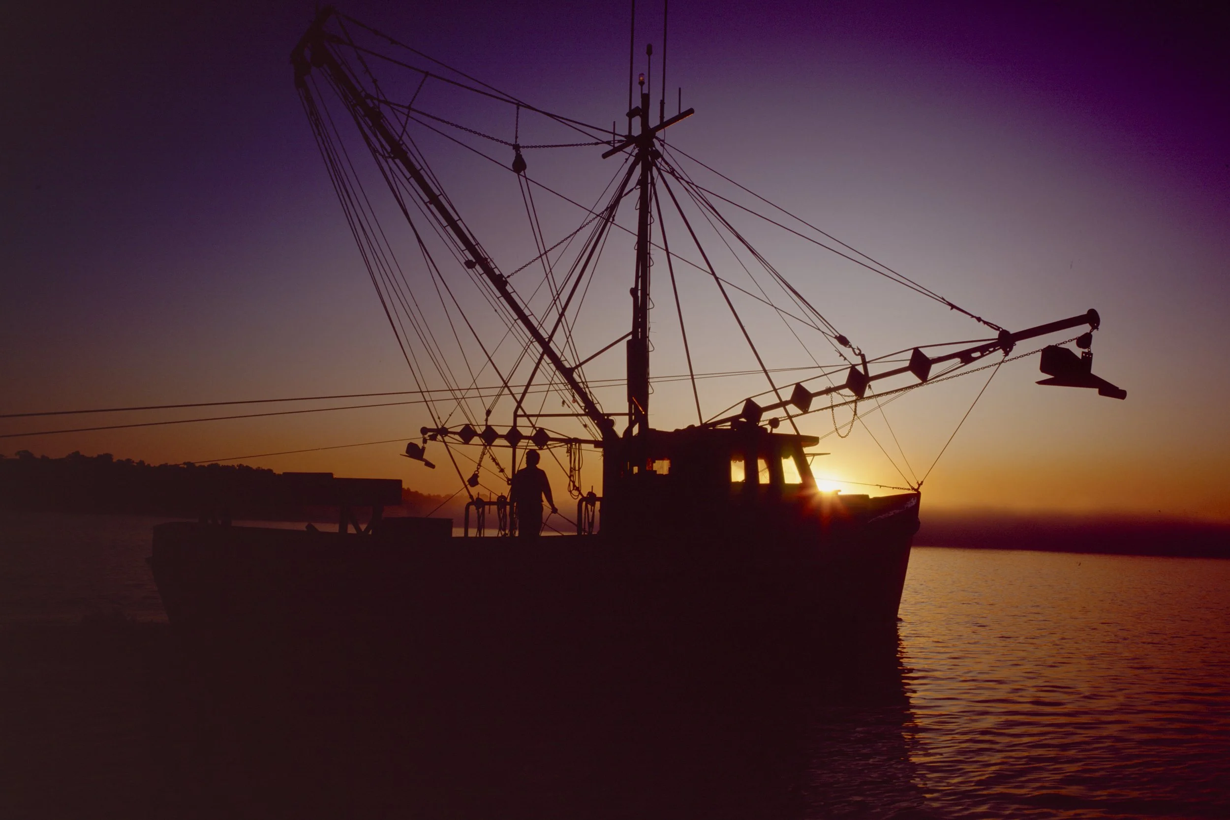 LG_000155.jpg