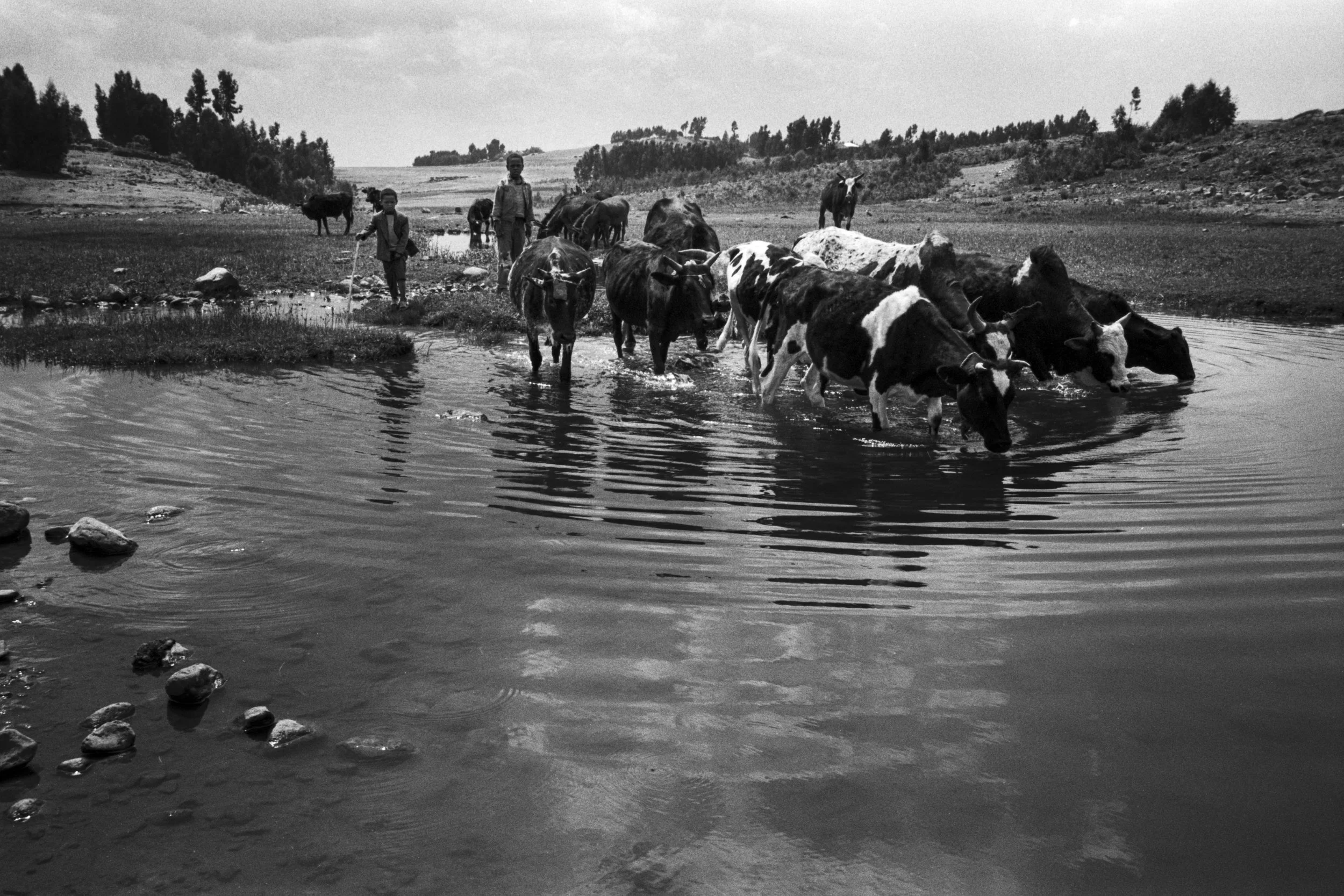 Ethiopia_New_001026.jpg