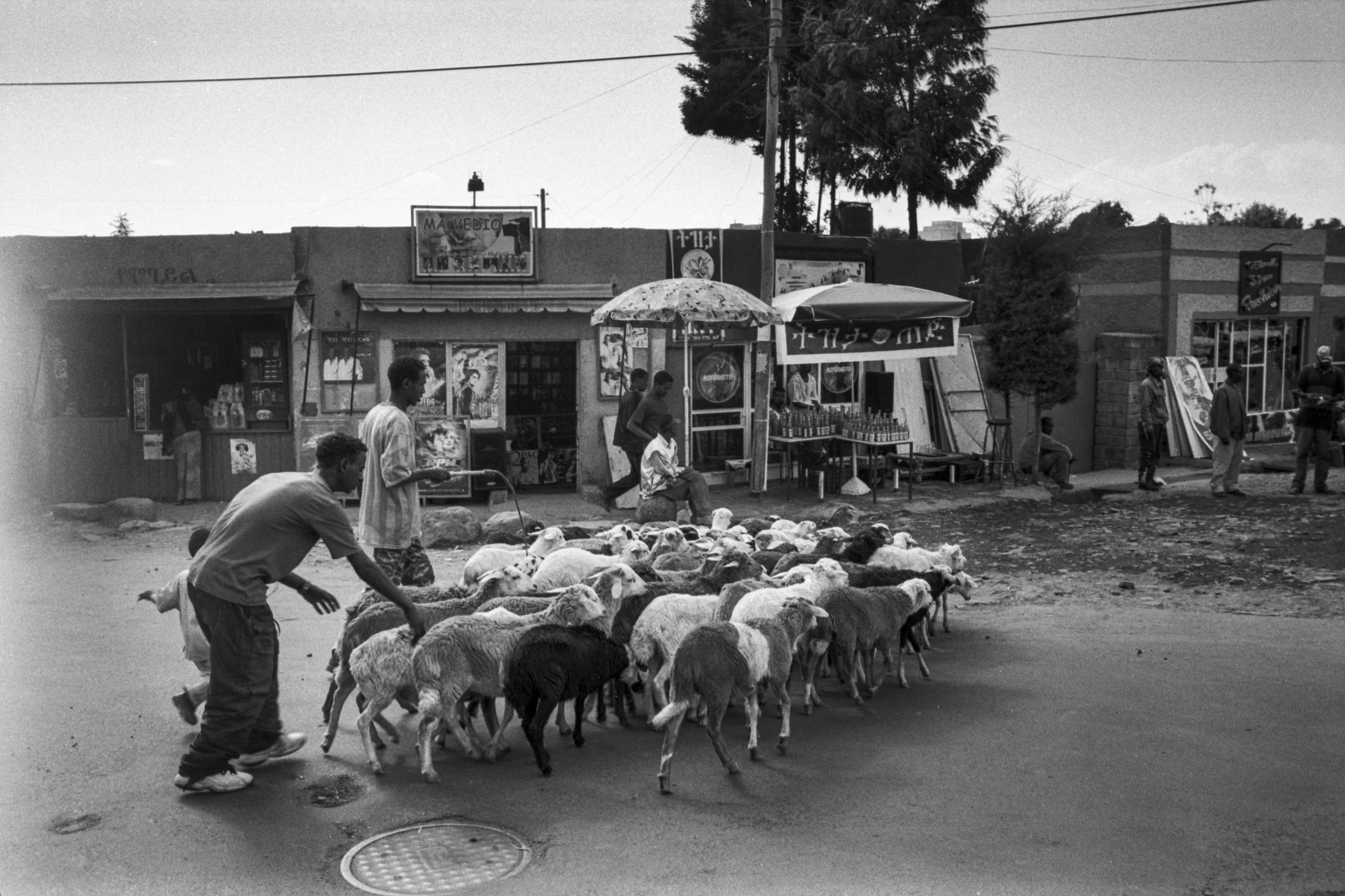 Ethiopia_New_001008.jpg