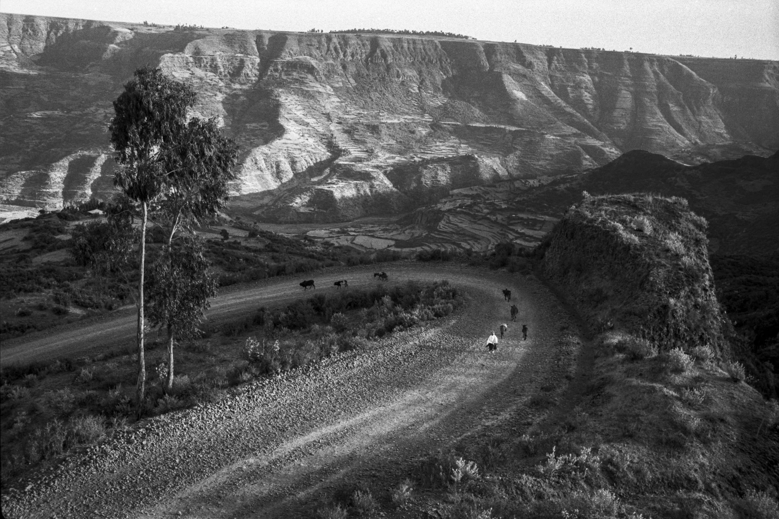 Ethiopia_New_001001.jpg