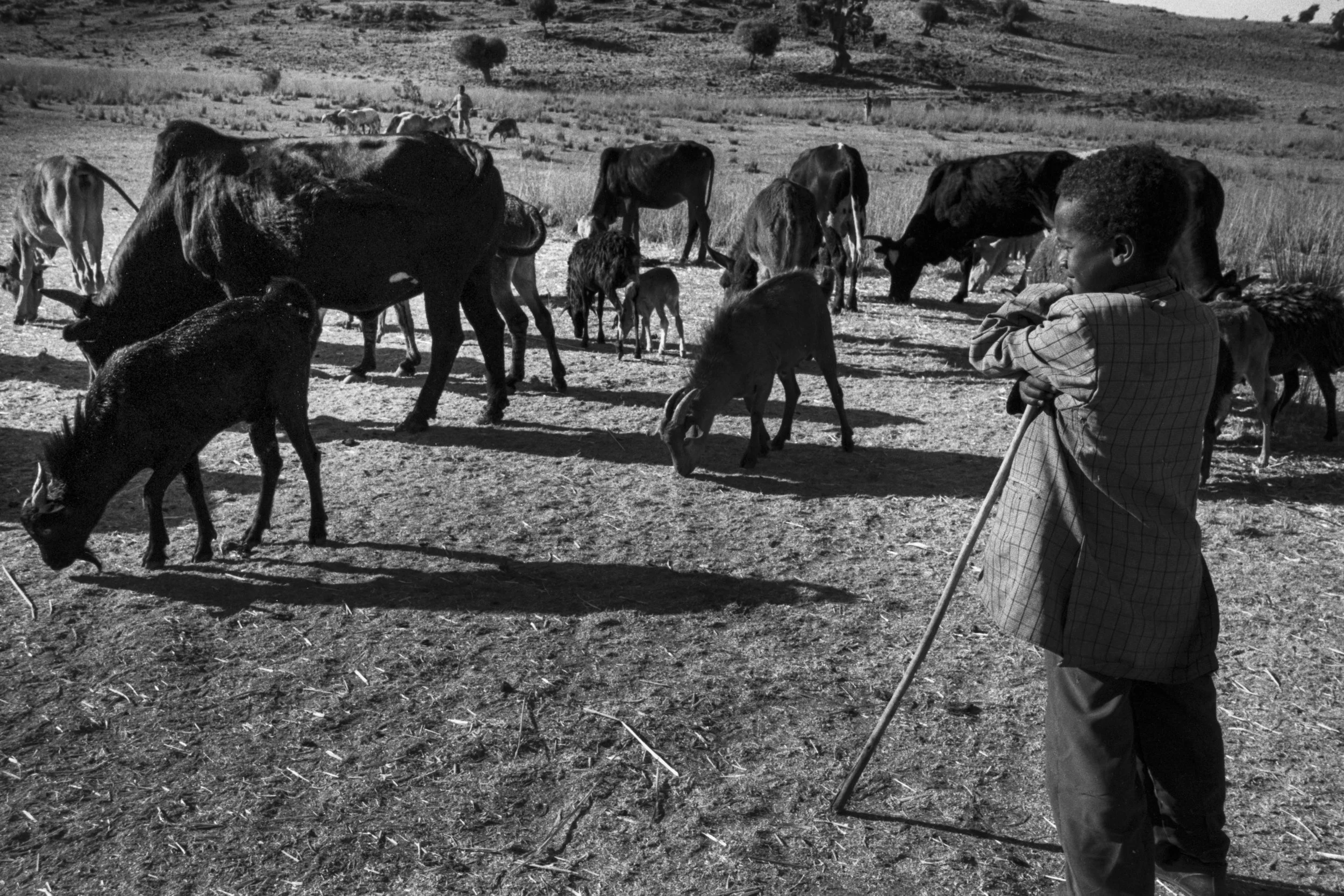 Ethiopia_New_001030.jpg