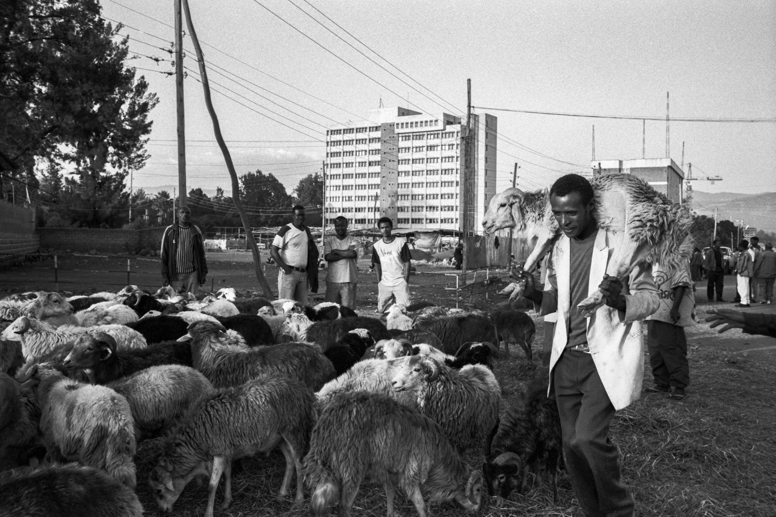 Ethiopia_New_001018.jpg