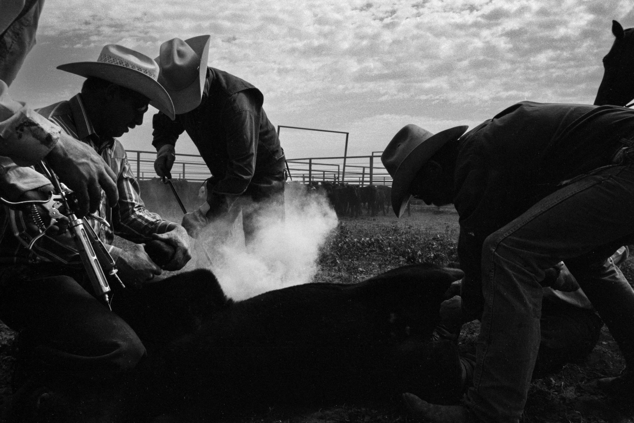 CowboyLasso_New_001029.jpg