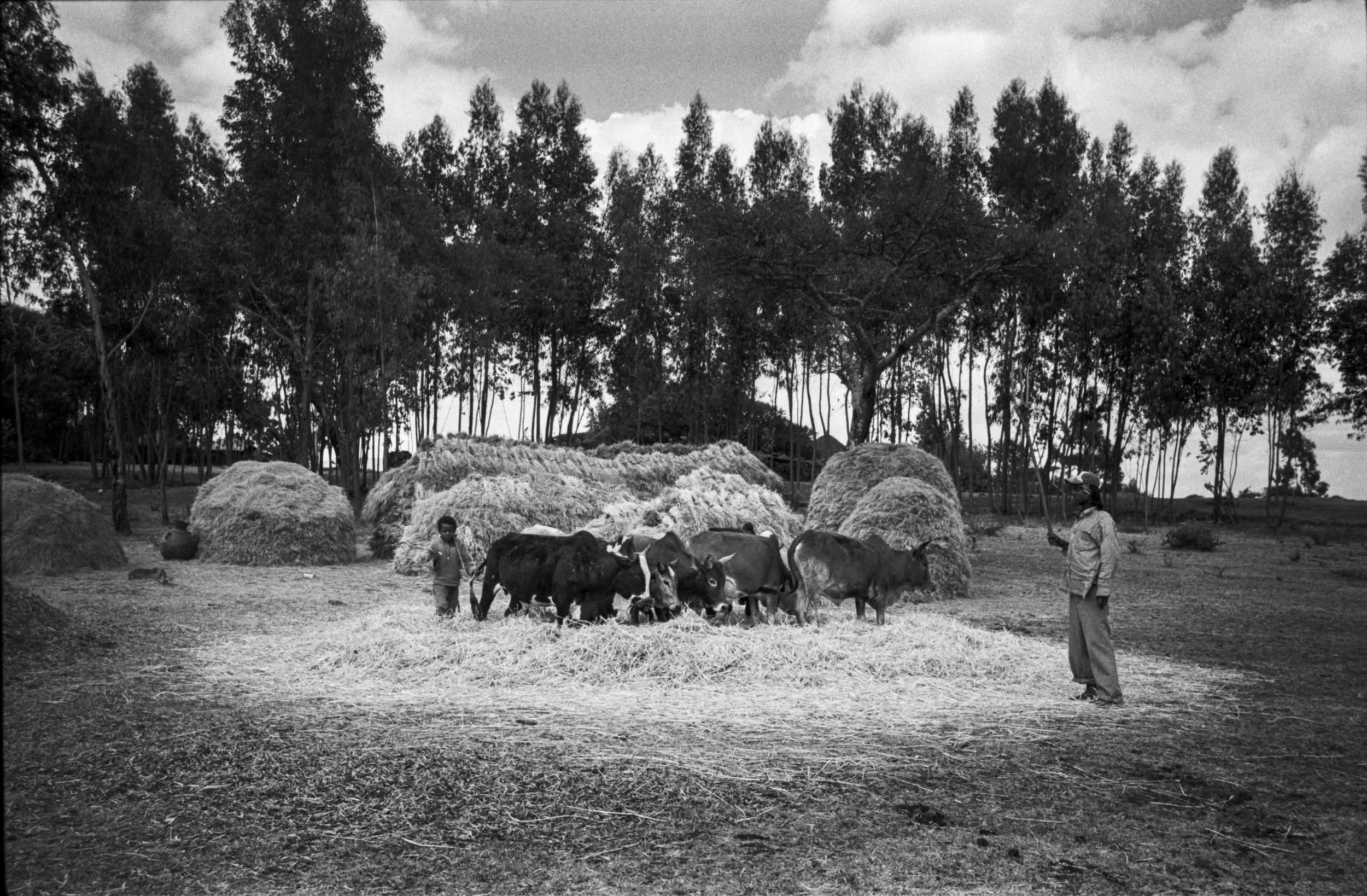 Ethiopia_New_001005.jpg