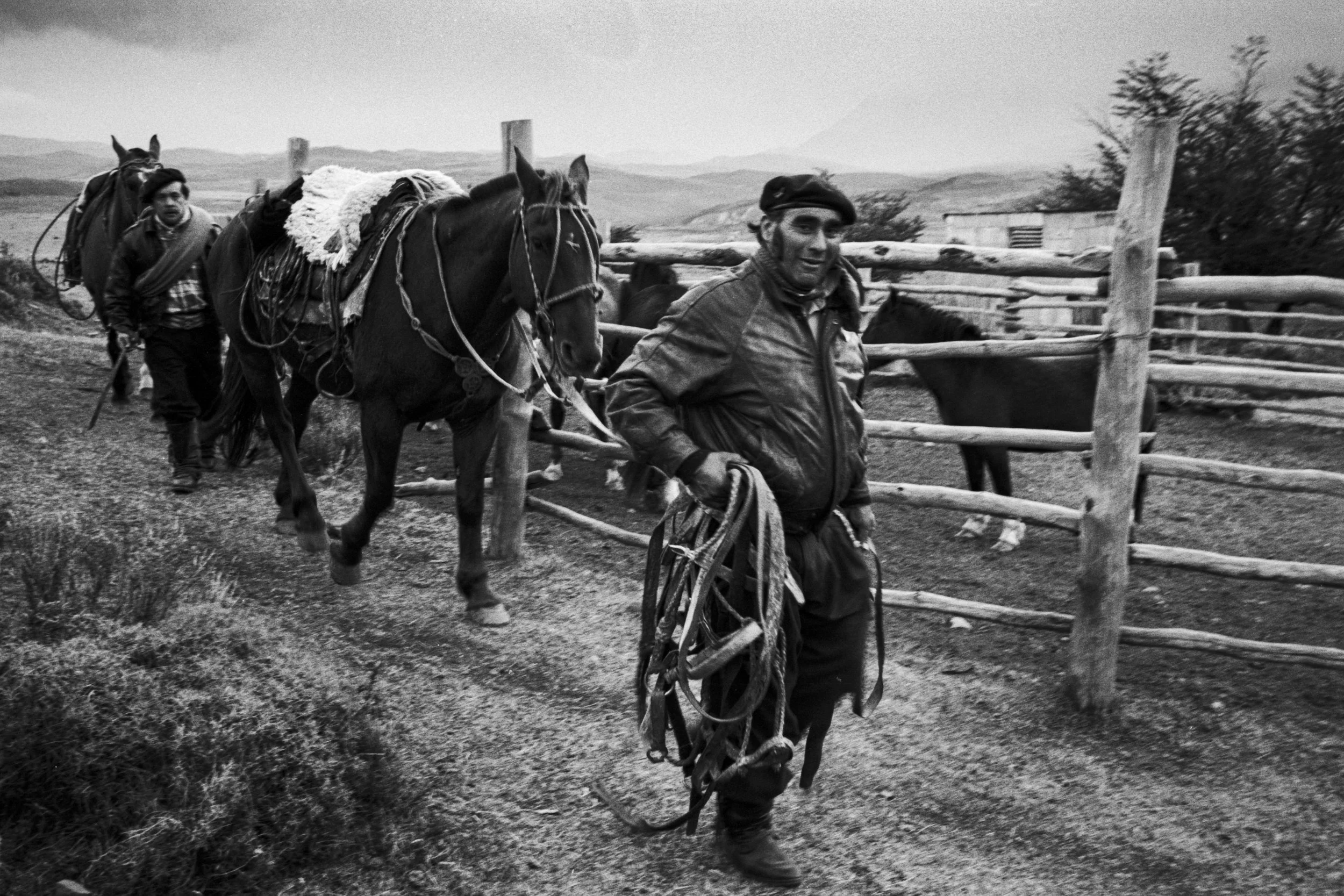 Chile_New_001044.jpg