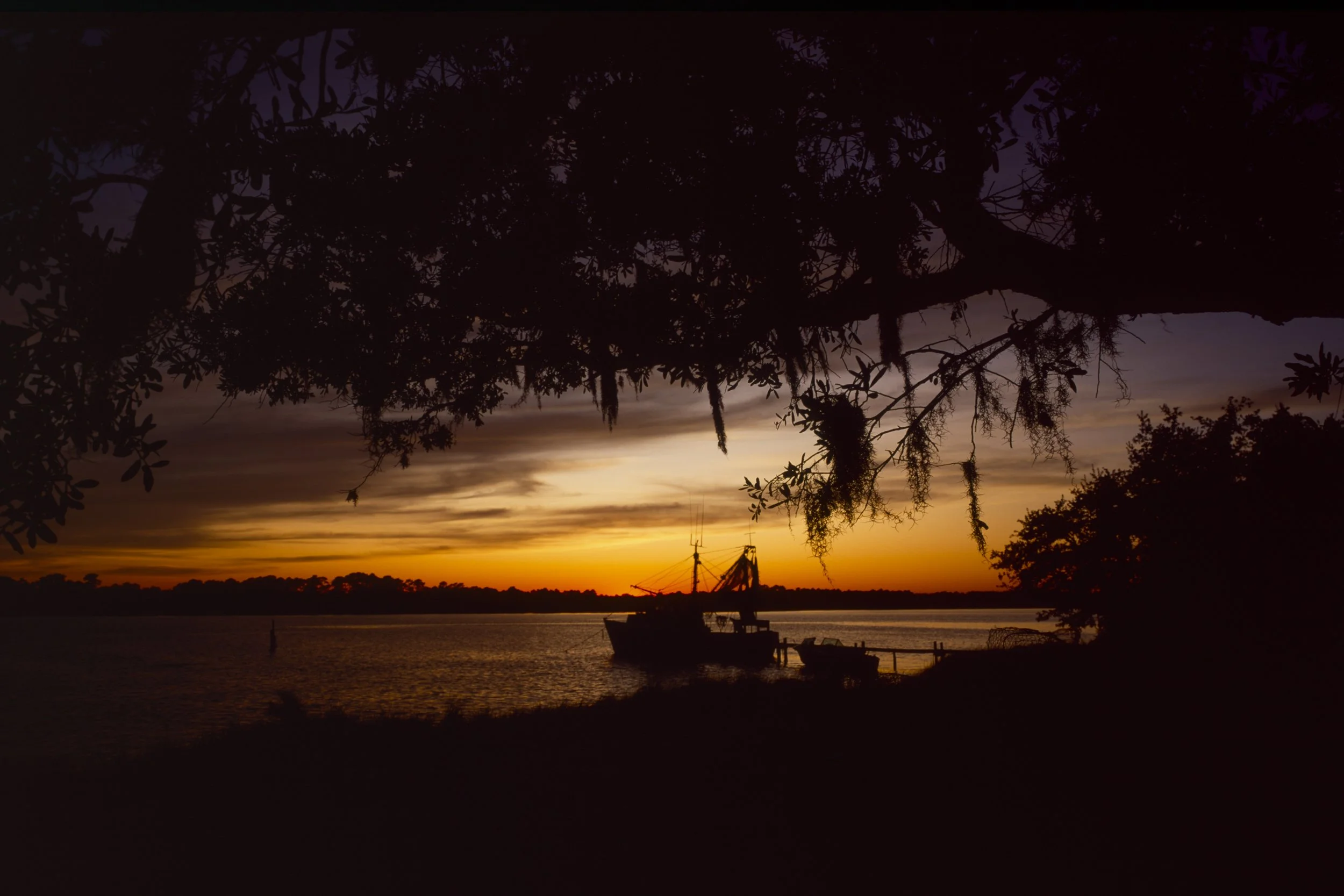 LG_000147.jpg