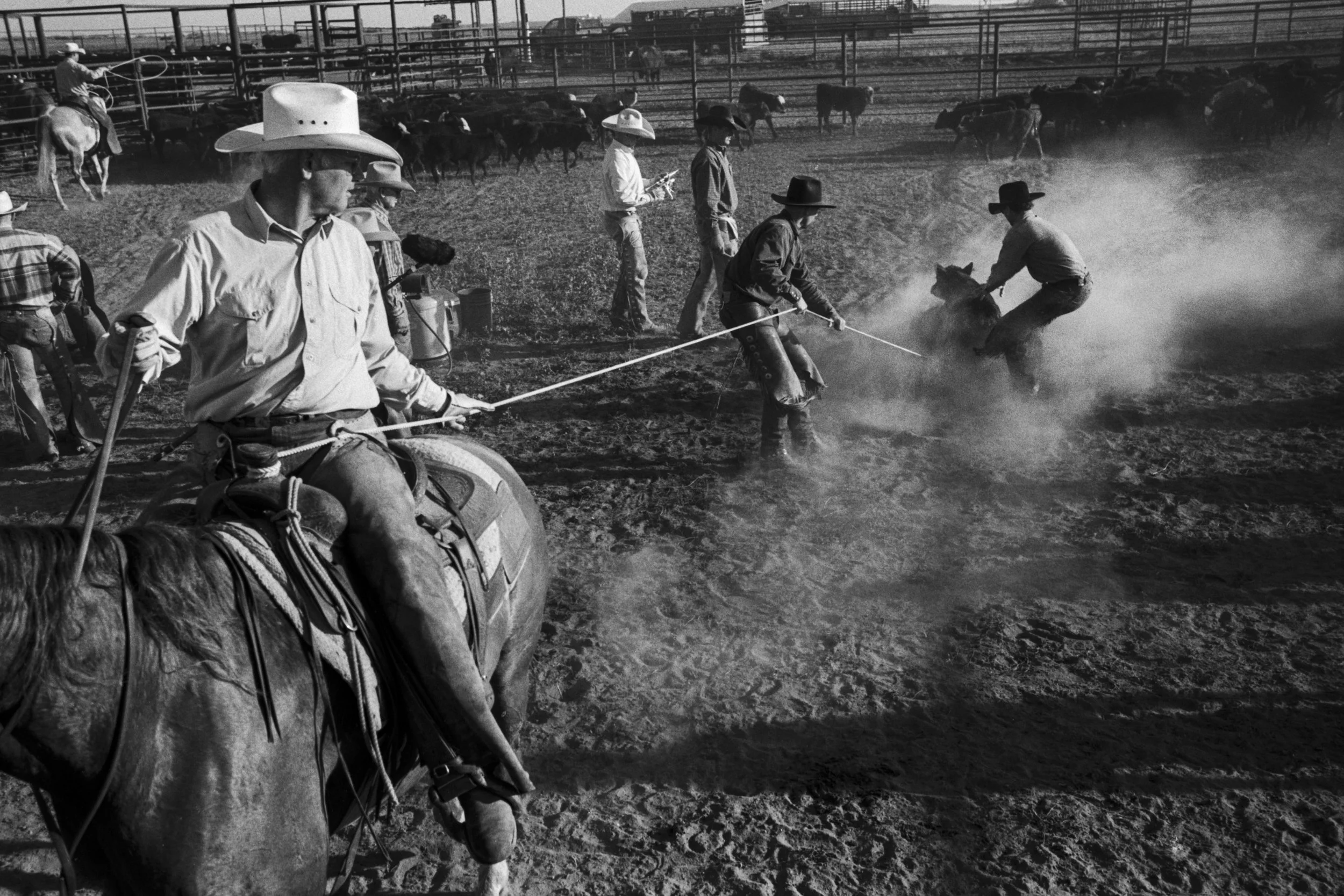 CowboyLasso_New_001038.jpg