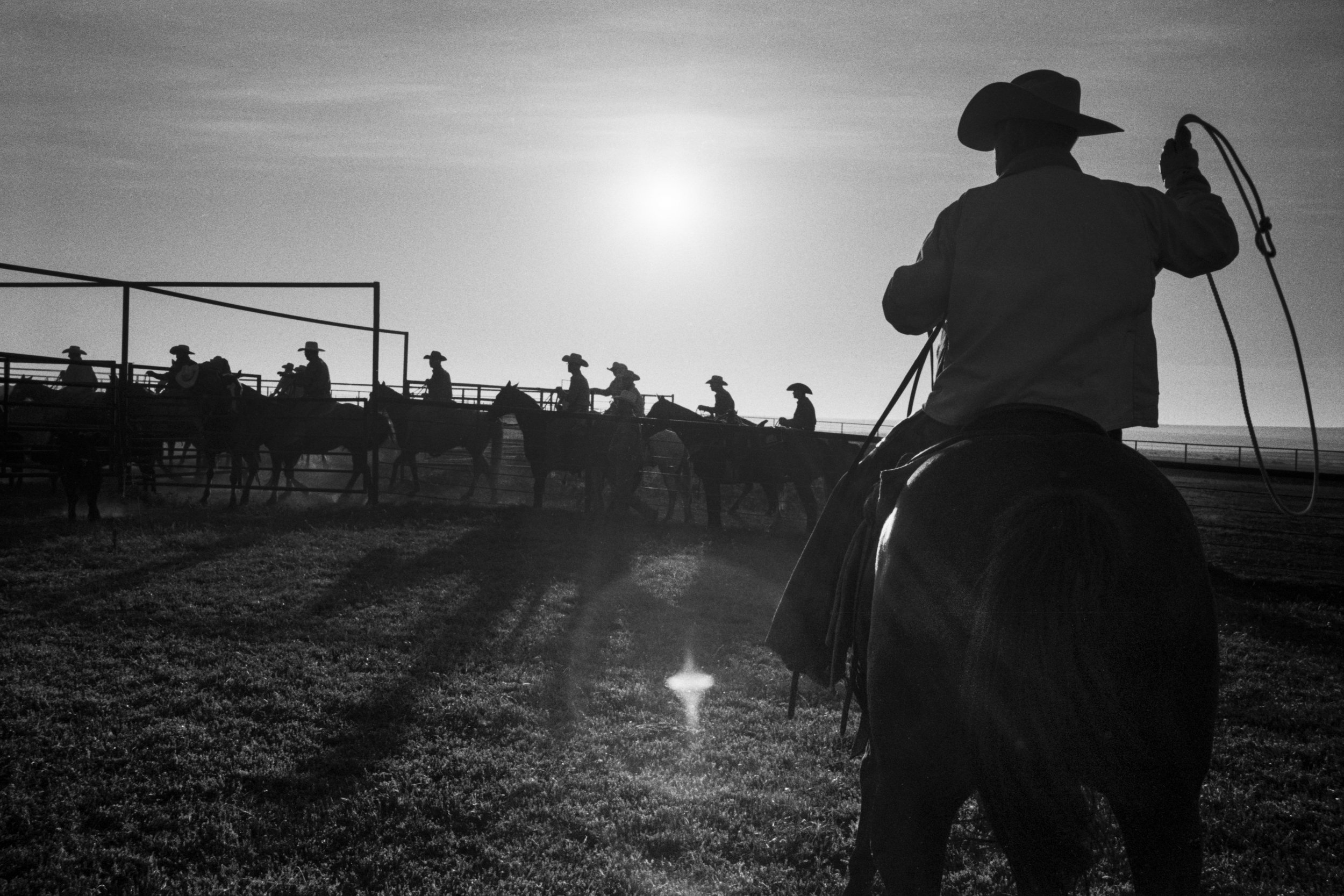 CowboyLasso_New__001054.jpg