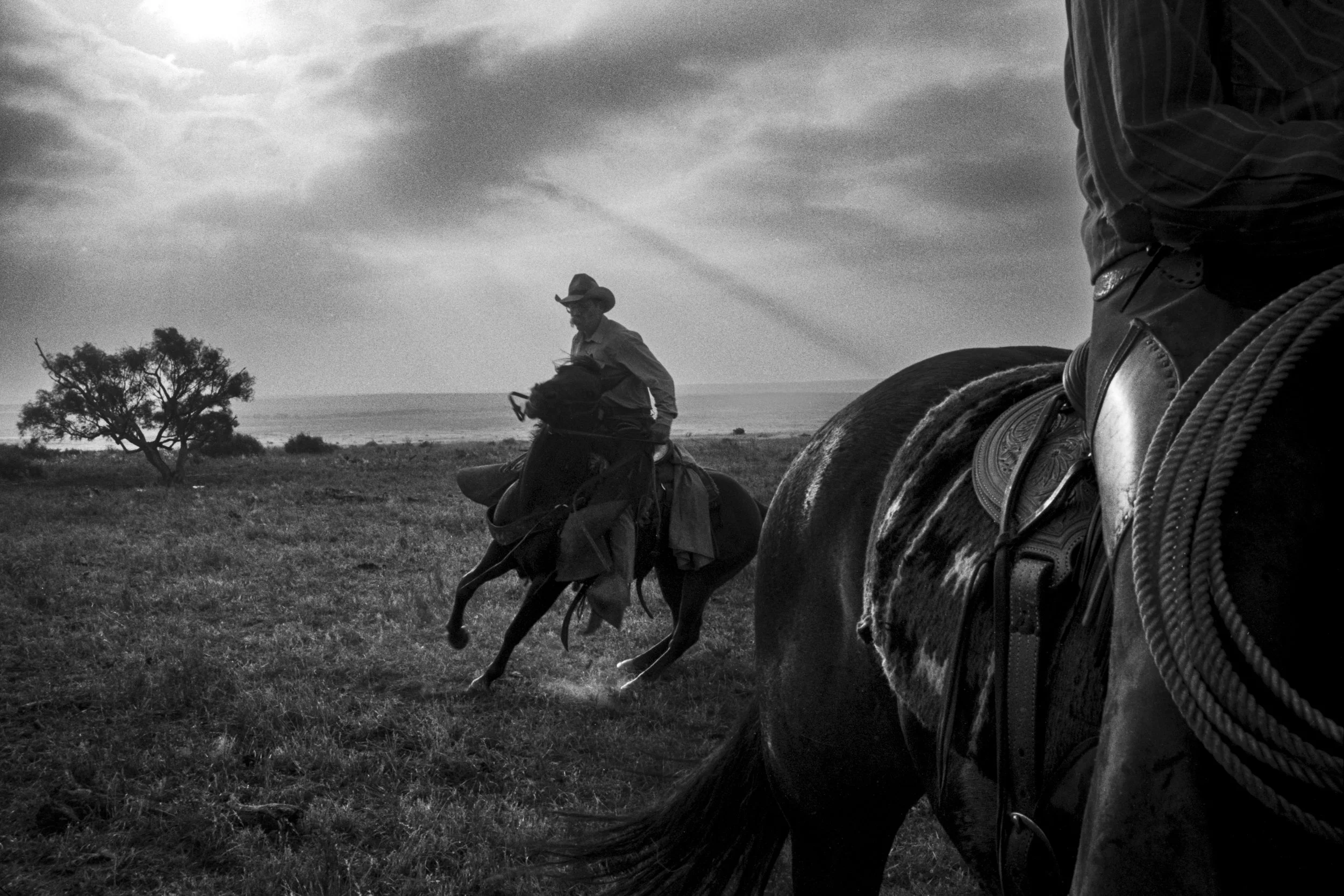 CowboyLasso_New_001019.jpg