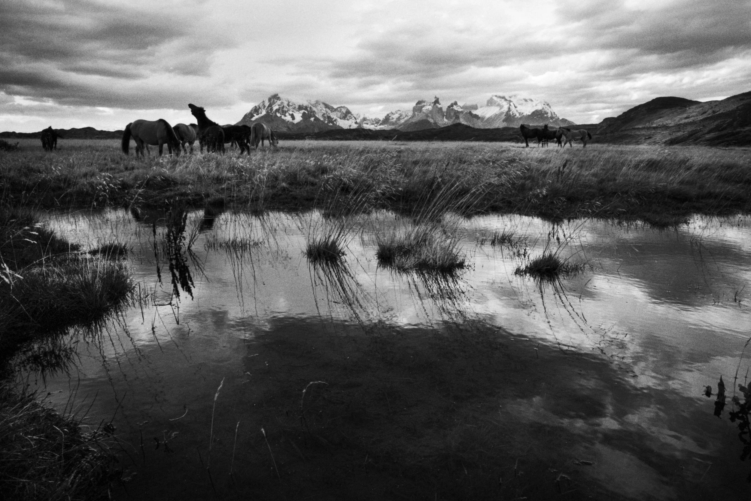 Chile_New_001042.jpg