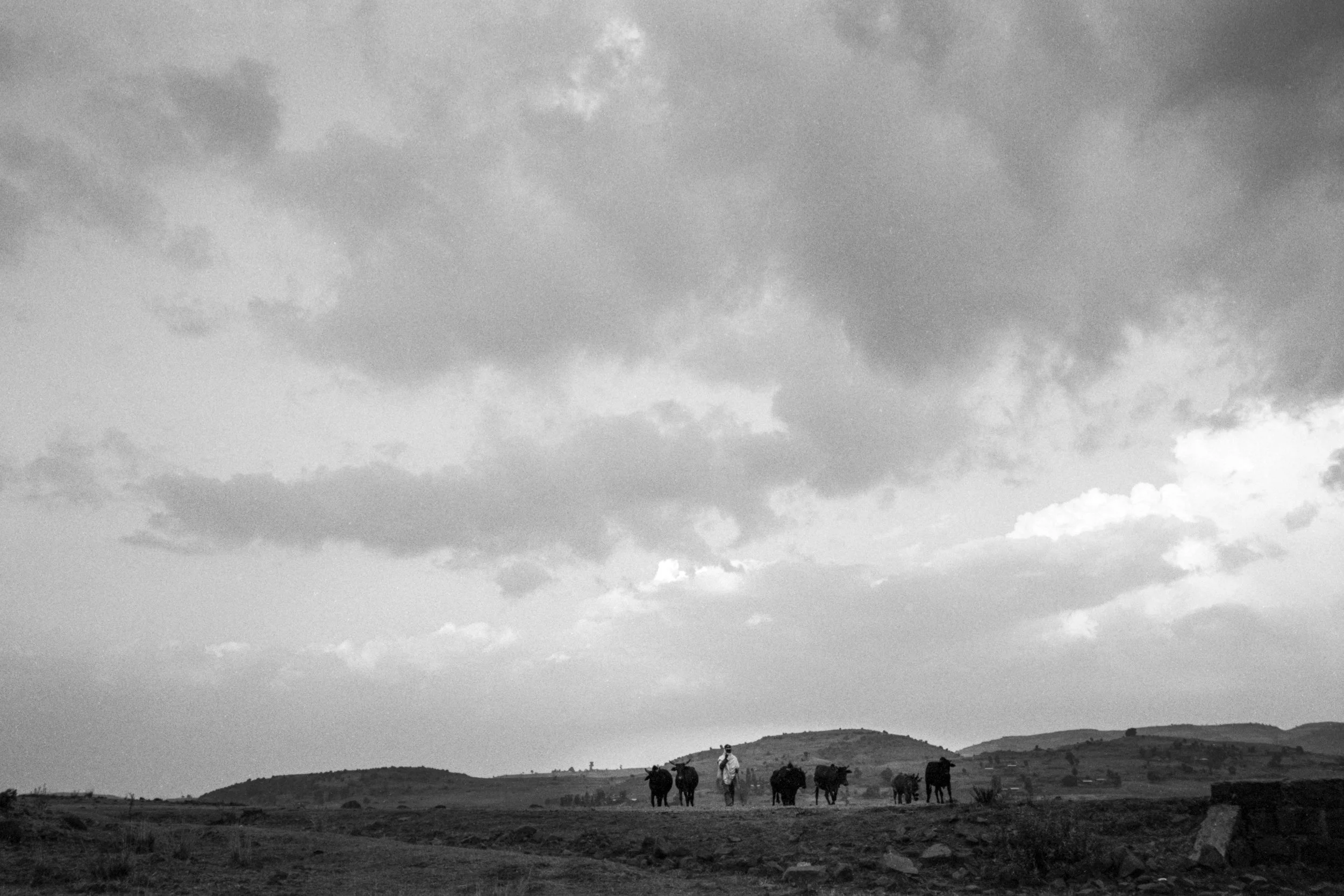 Ethiopia_New_001029.jpg