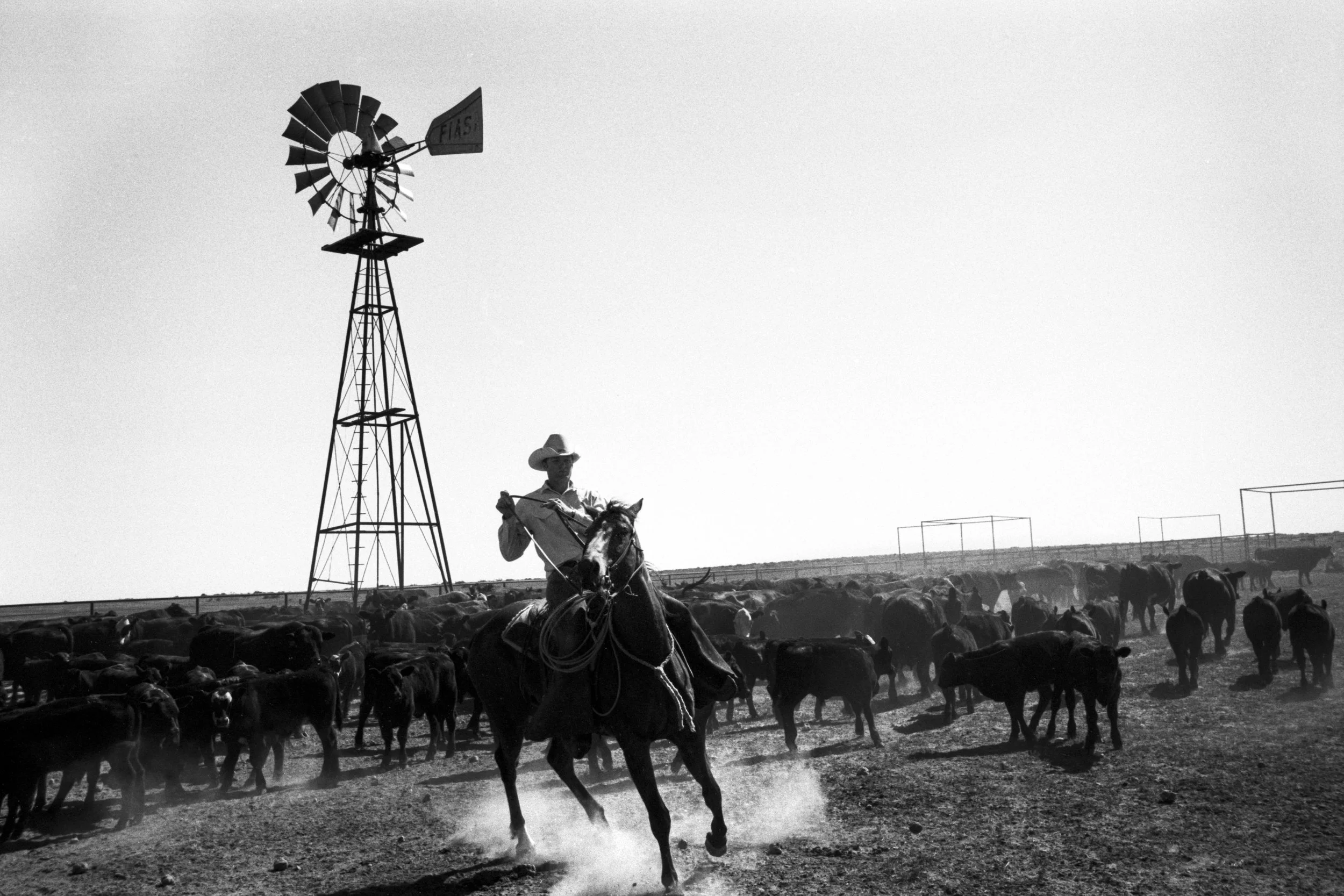 CowboyLasso_New_001016.jpg
