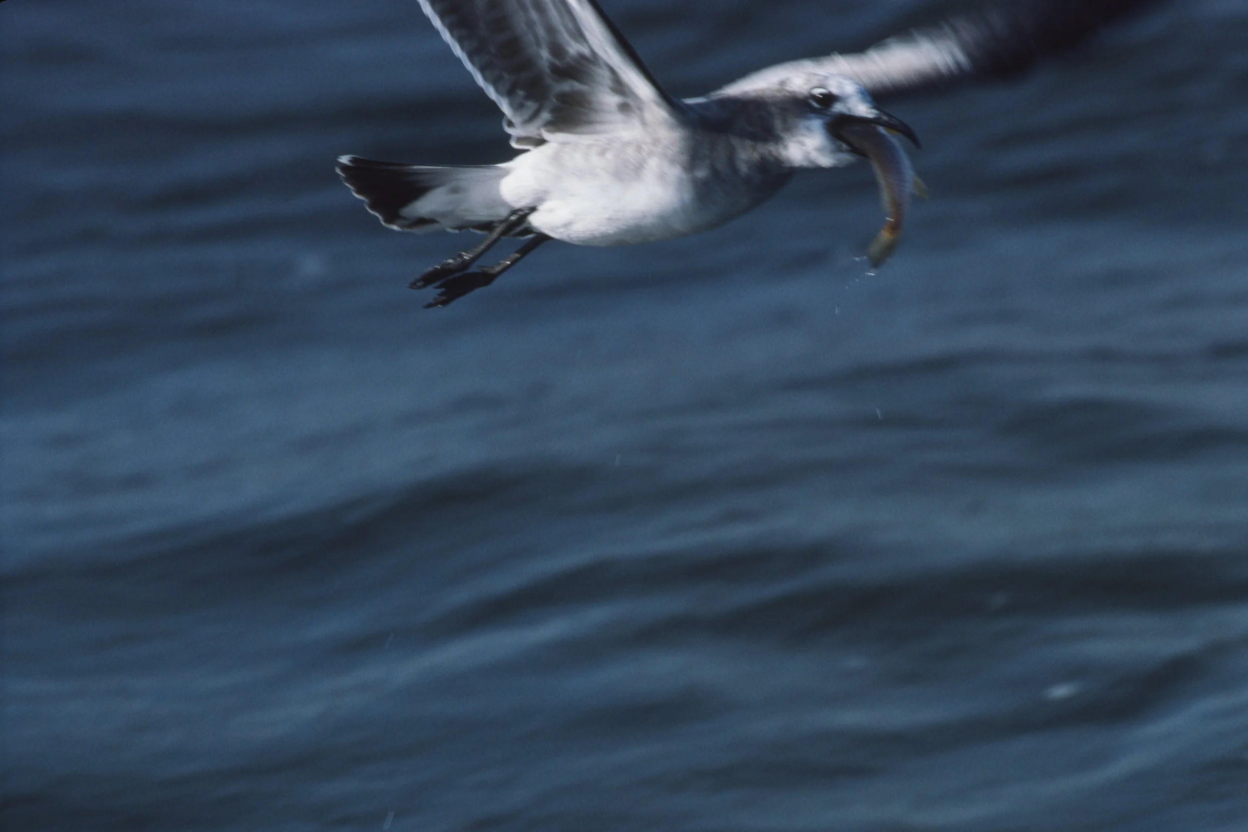 LG_000175.jpg