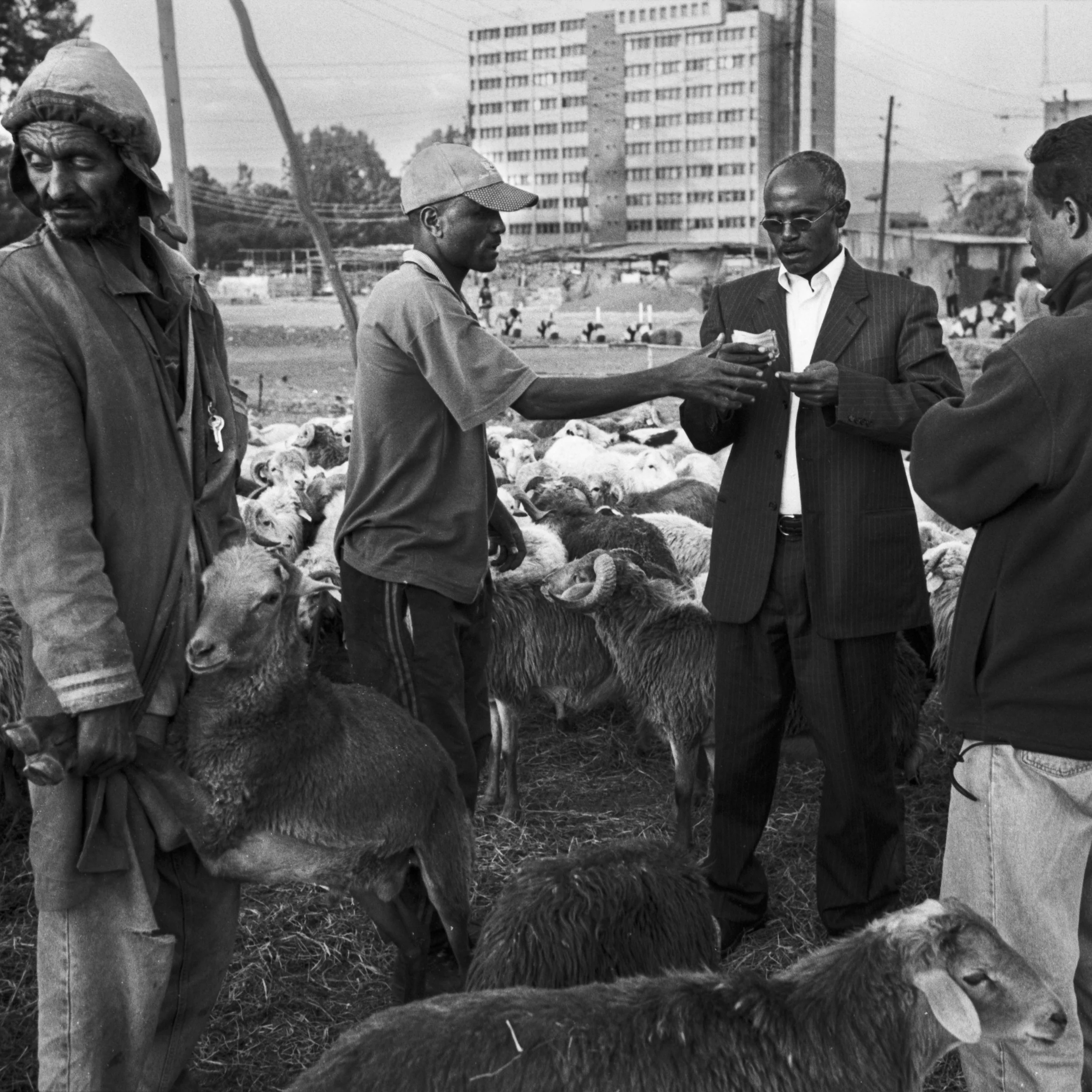 Ethiopia_New_001019.jpg