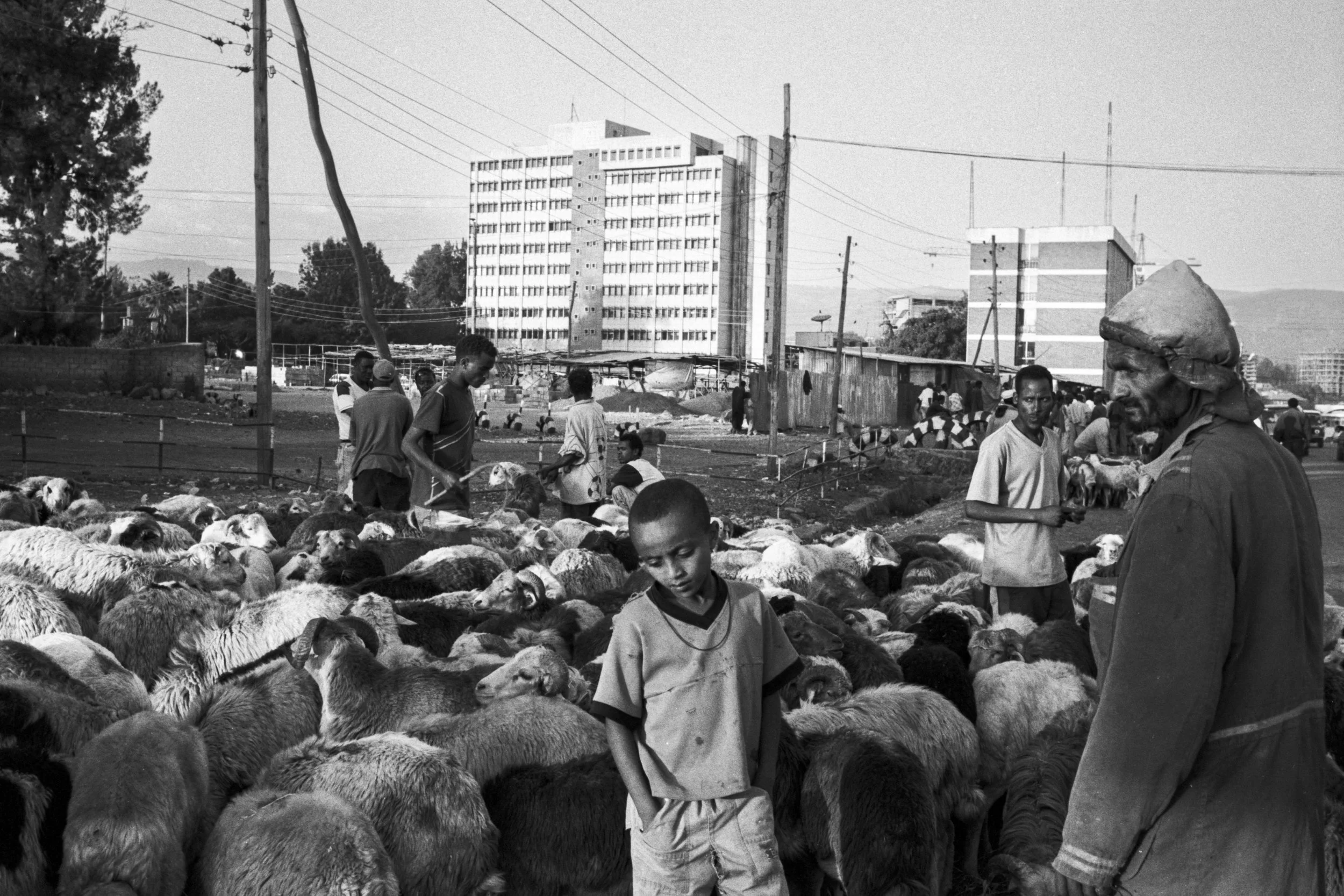 Ethiopia_New_001031.jpg