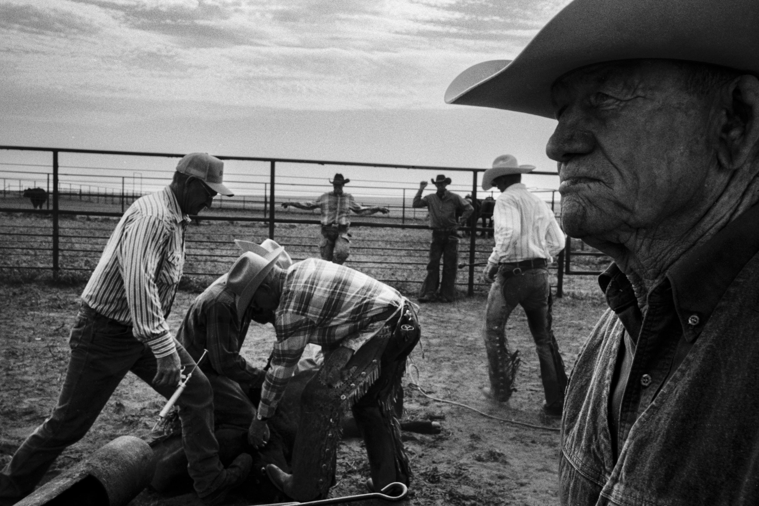 CowboyLasso_New_001027.jpg