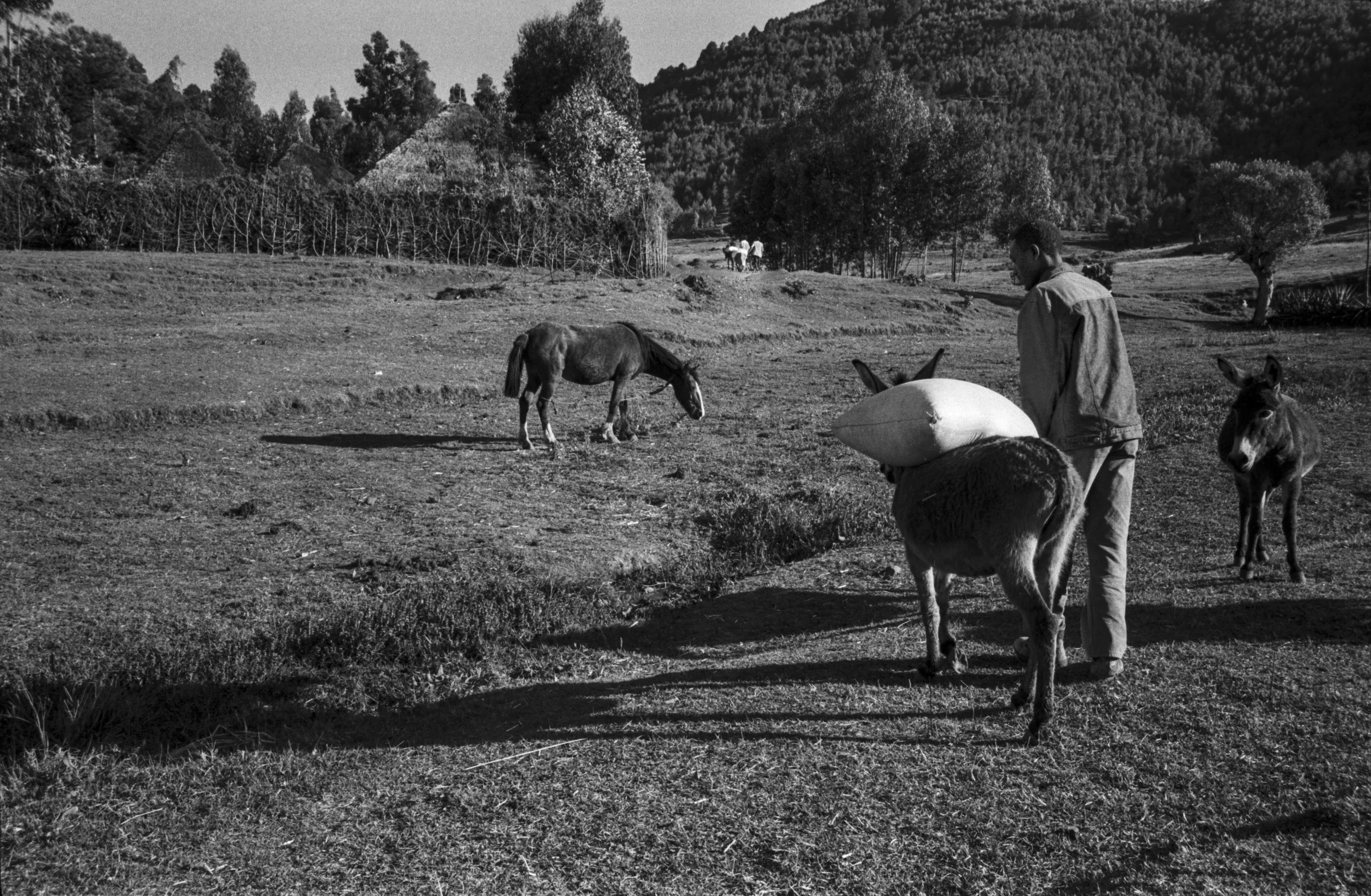 Ethiopia_New_001012.jpg