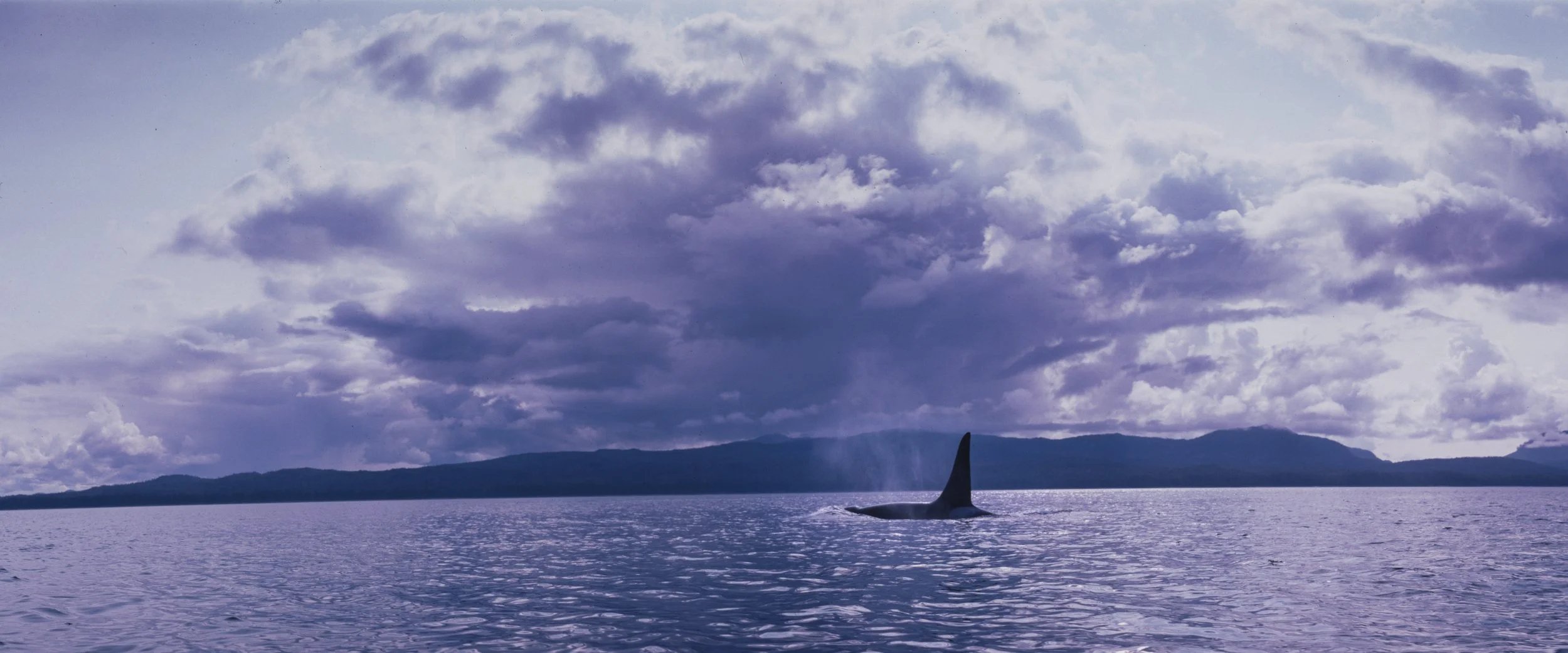 Alaska_000237.jpg