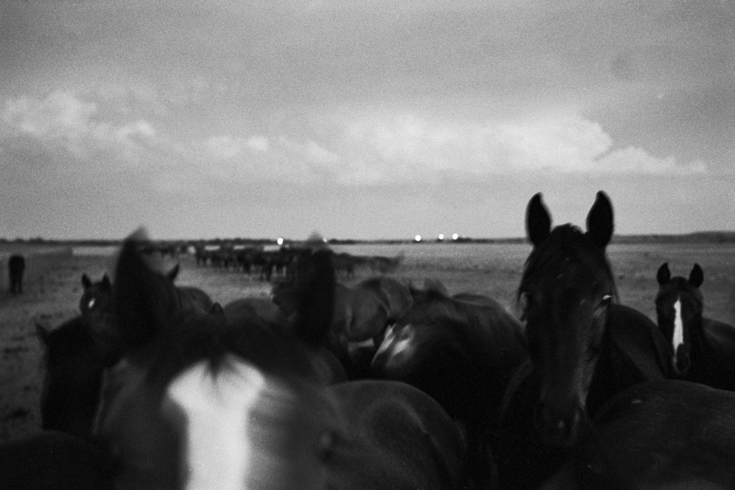 CowboyLasso_New_001042.jpg