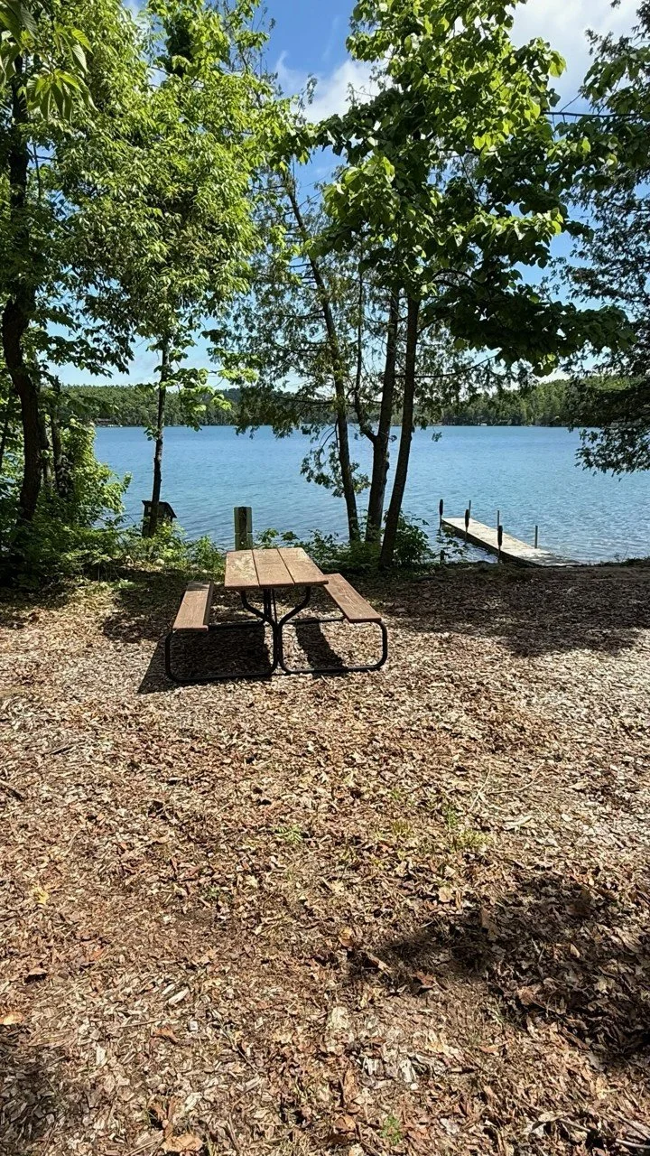 A lakeside scene with a wooden picnic table and benches on a dirt area. Tall green trees surround the space, and a small dock extends into the lake, with calm water. The background shows a clear blue sky.