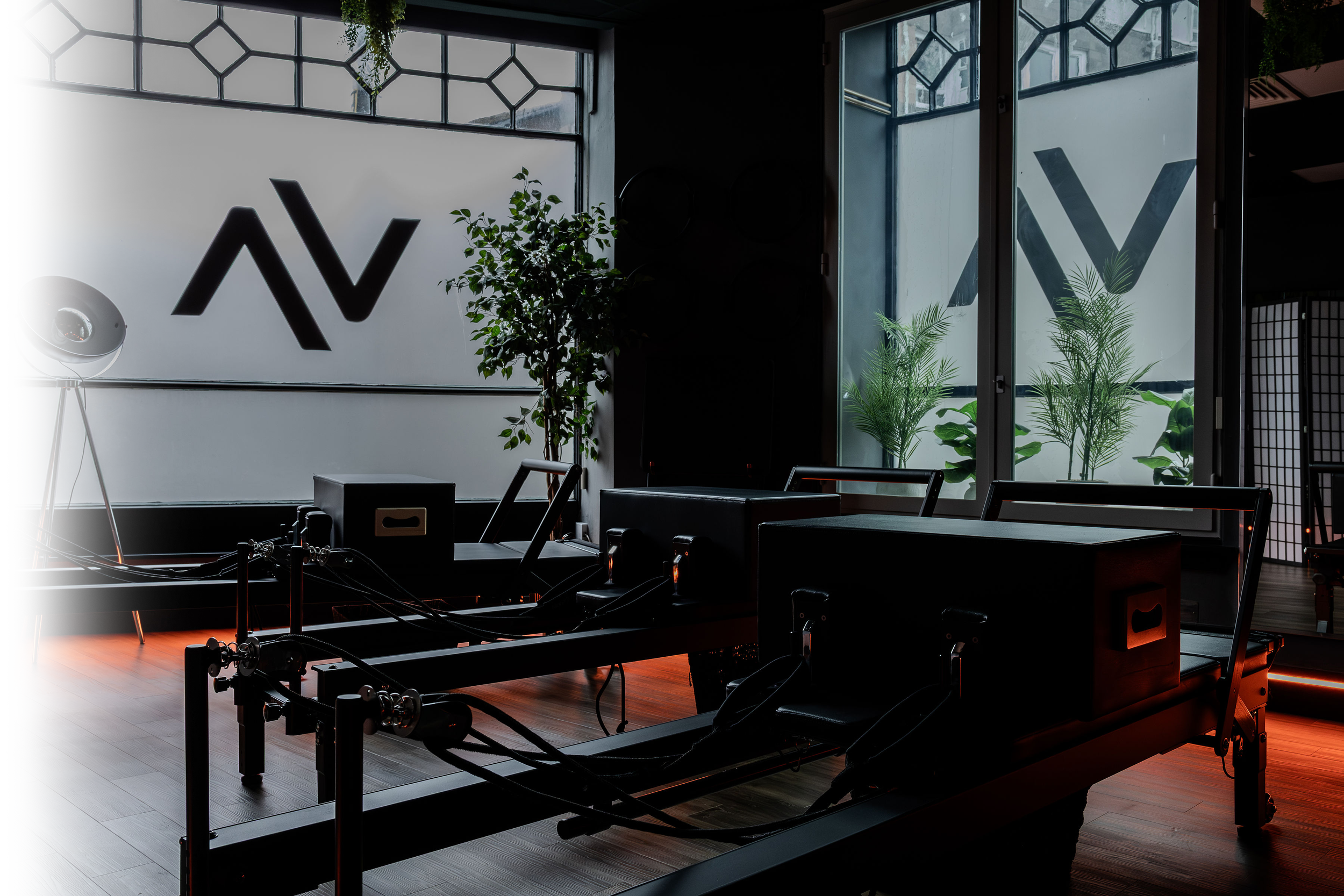The interior of a modern fitness or Pilates studio with Pilates reformer machines, green plants, large windows, and minimalistic decor.