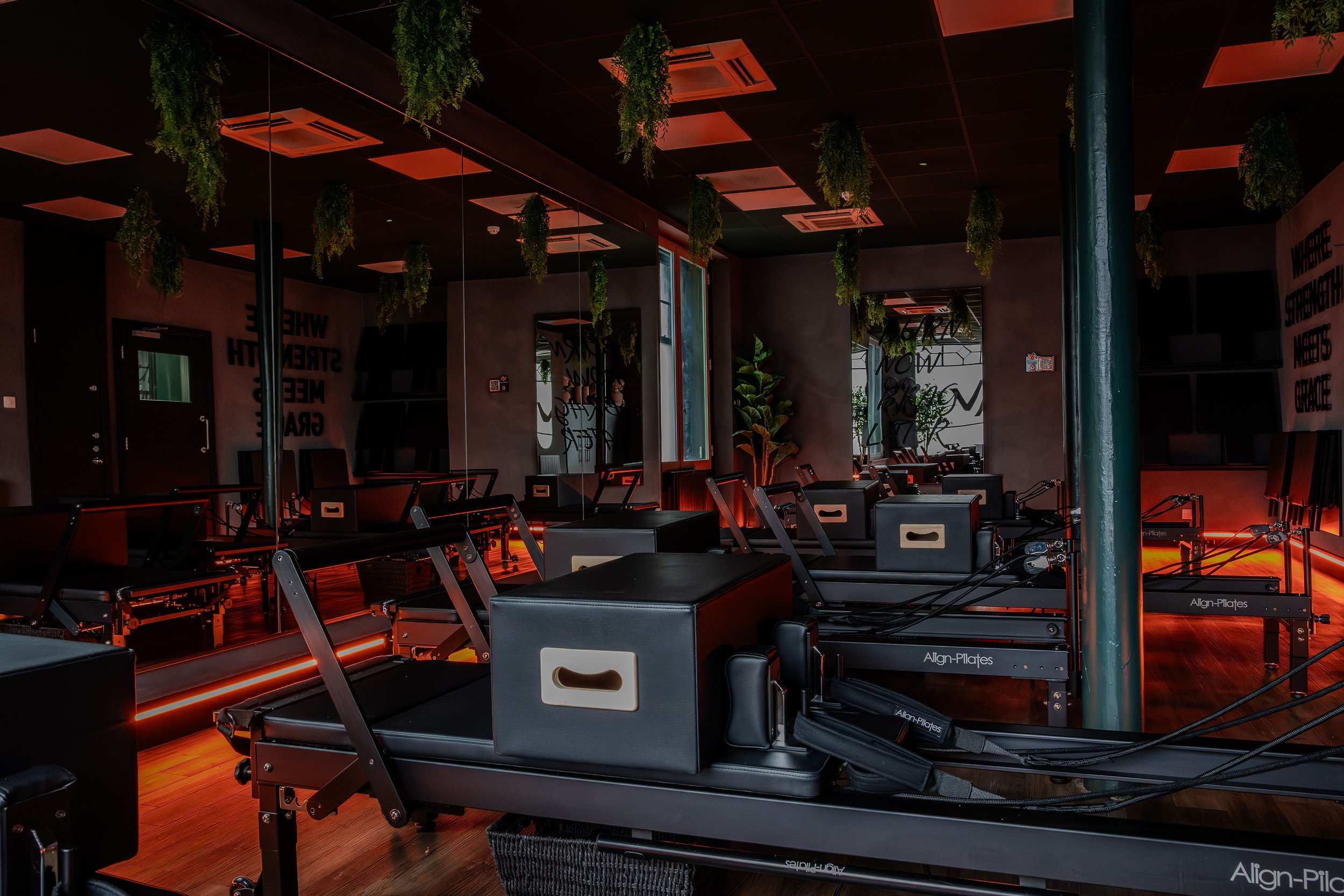 Interior of a Pilates or fitness studio with black reformer machines, hanging green plants, and red accent lighting. Mirrors line the walls, creating a spacious and modern atmosphere.