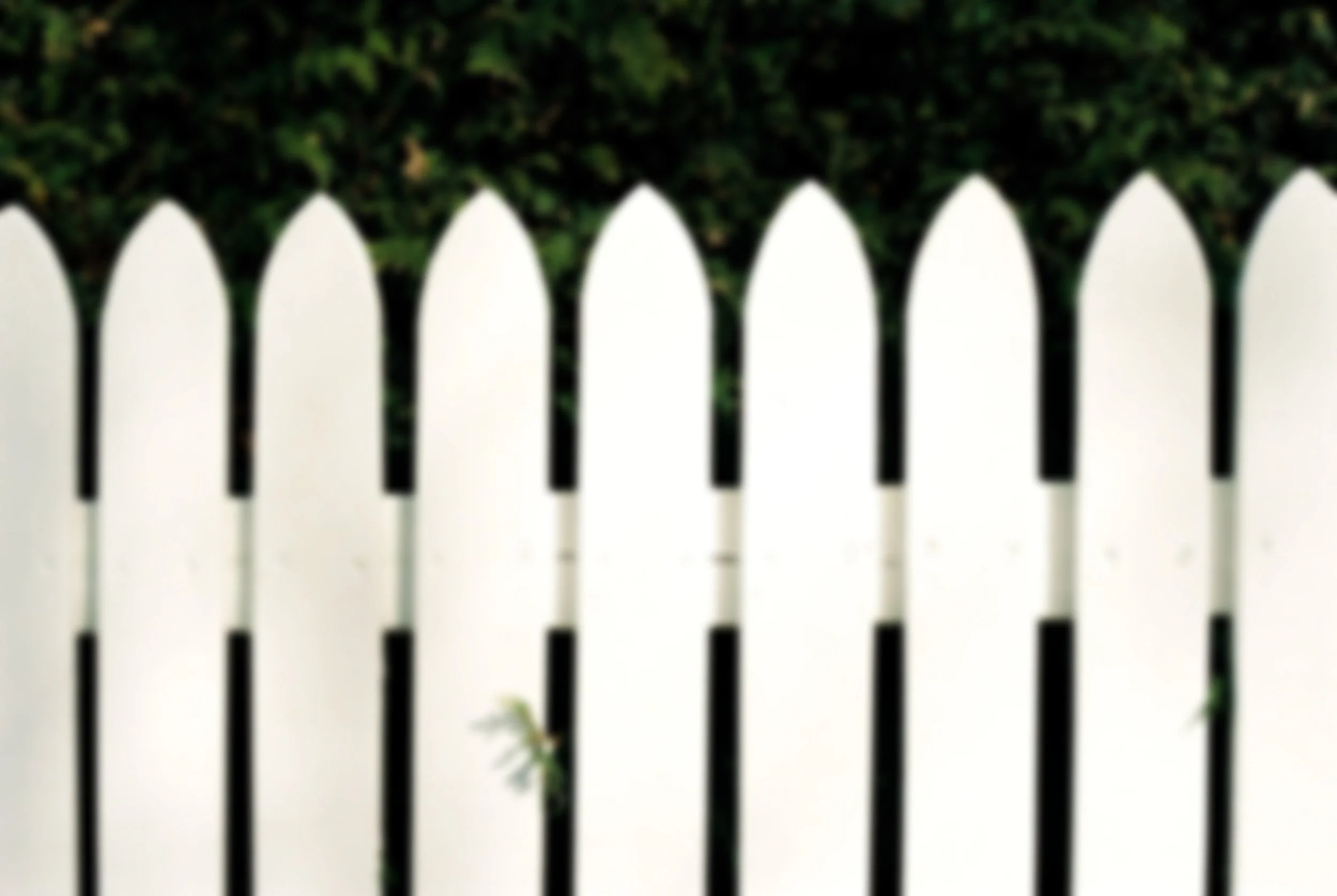 The Secret to Saving a Dying Fence