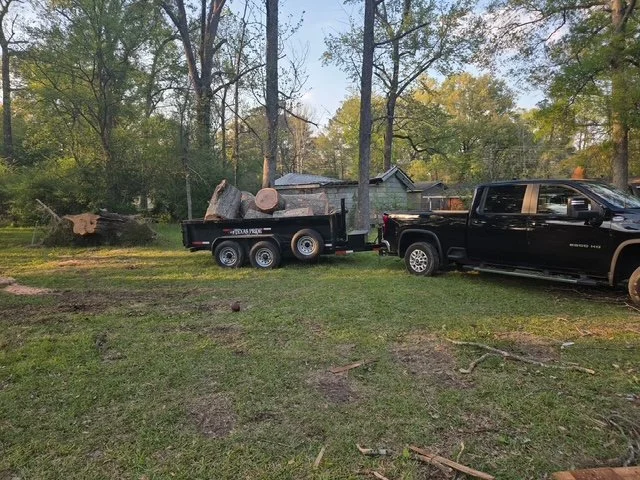 Tree removal