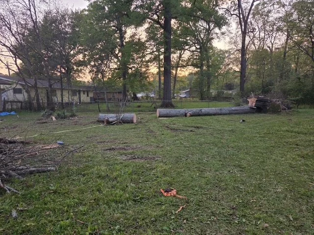 Tree Cutting - Jackson, MS