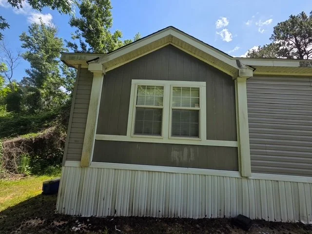 Heavy green algae and mildew buildup spreading across the exterior trim work prior to washing.