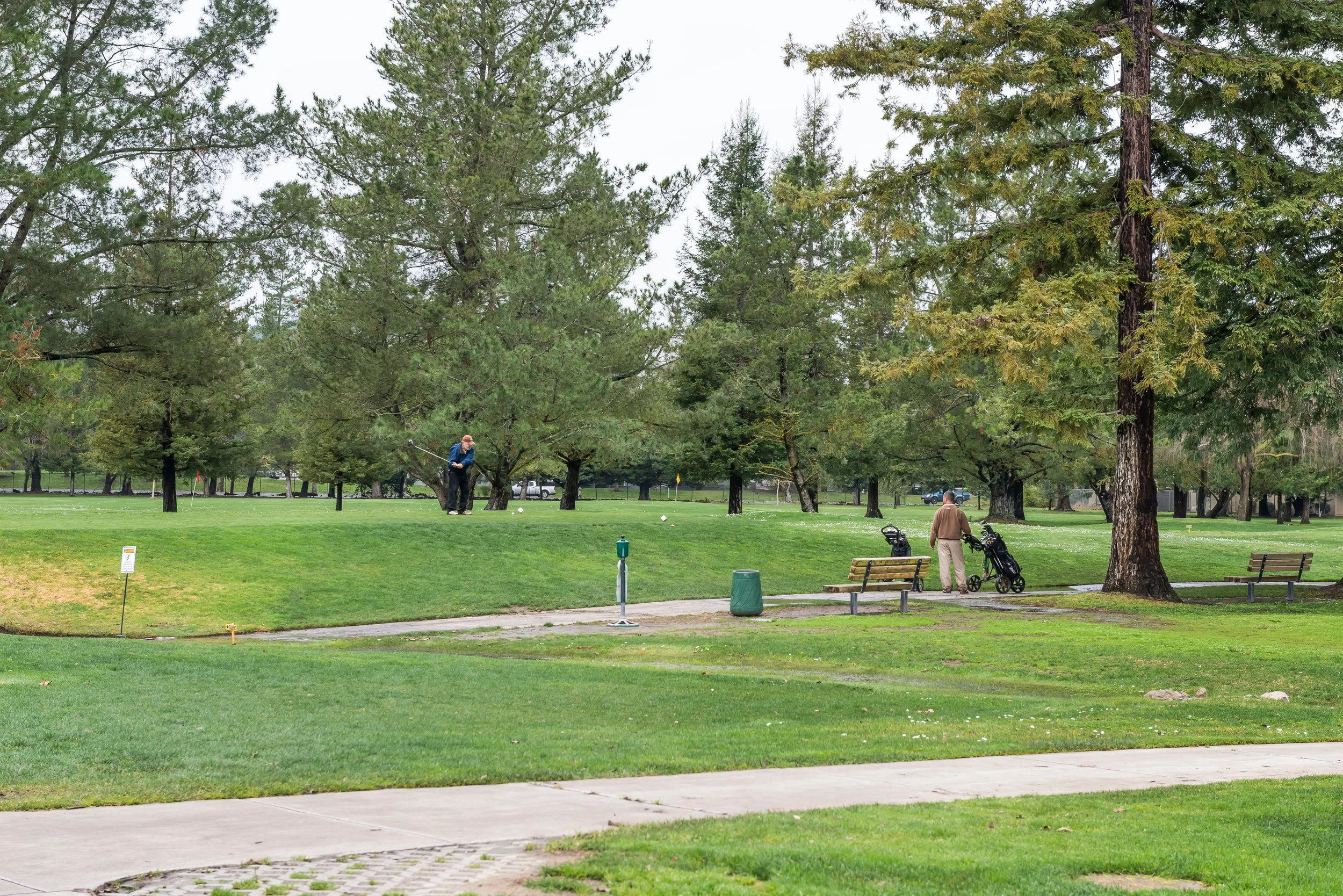A park with tall trees and two people, one playing golf and another standing near golf bags, on a grassy area with benches and pathway.